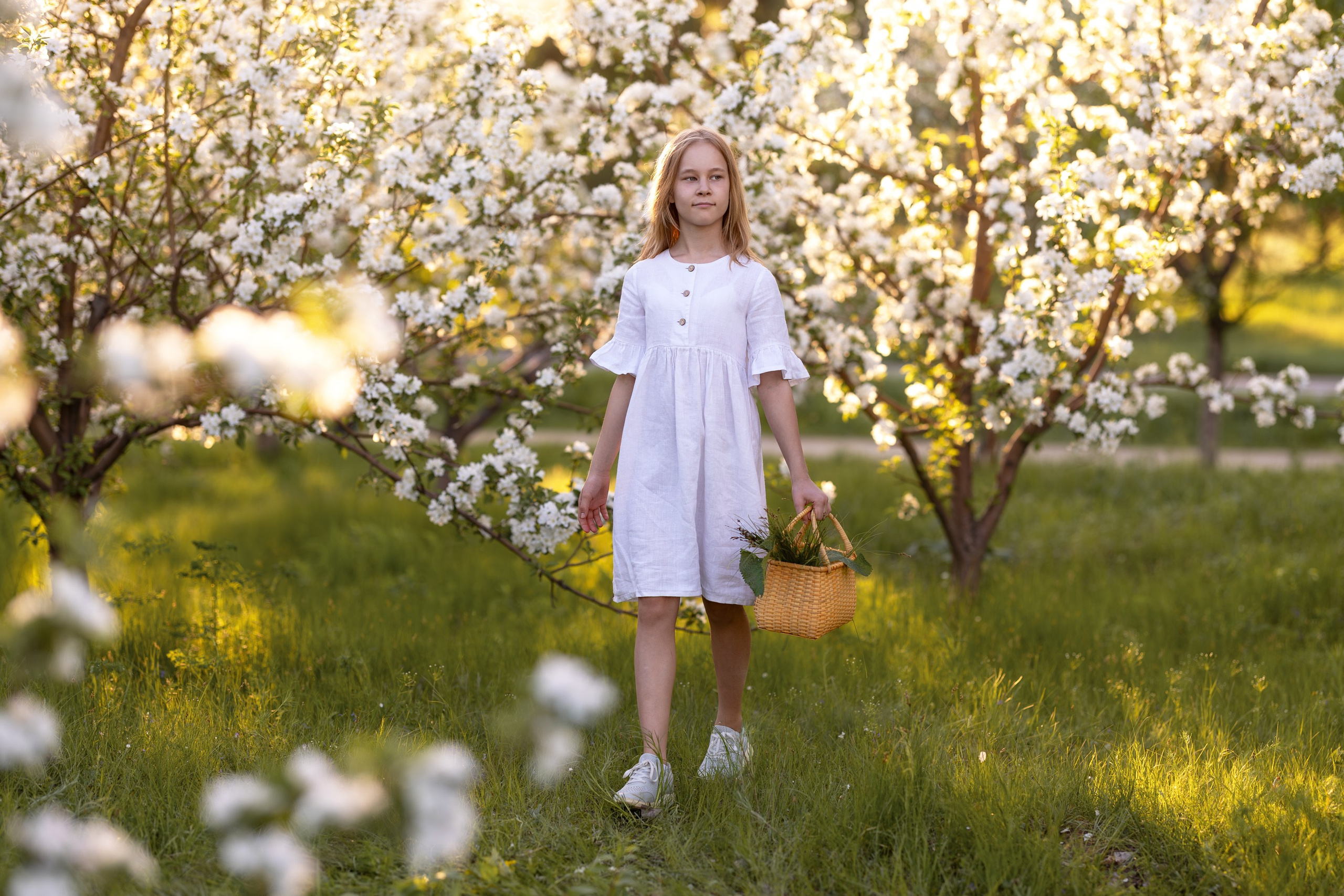 Яблоневый сад. Семейный и детский фотограф в Красноярске, Дивногорцева Светлана