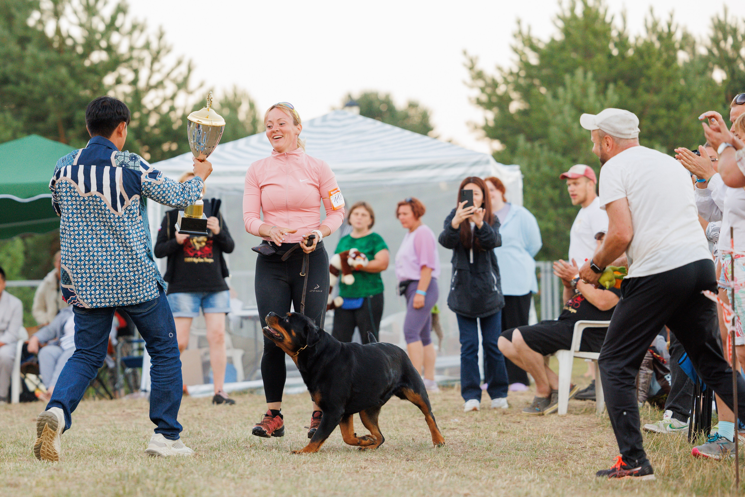 ПК и КЧК ротвейлеры Тверь 6-7.07.2024. Фотограф-анималист Юлия Германика