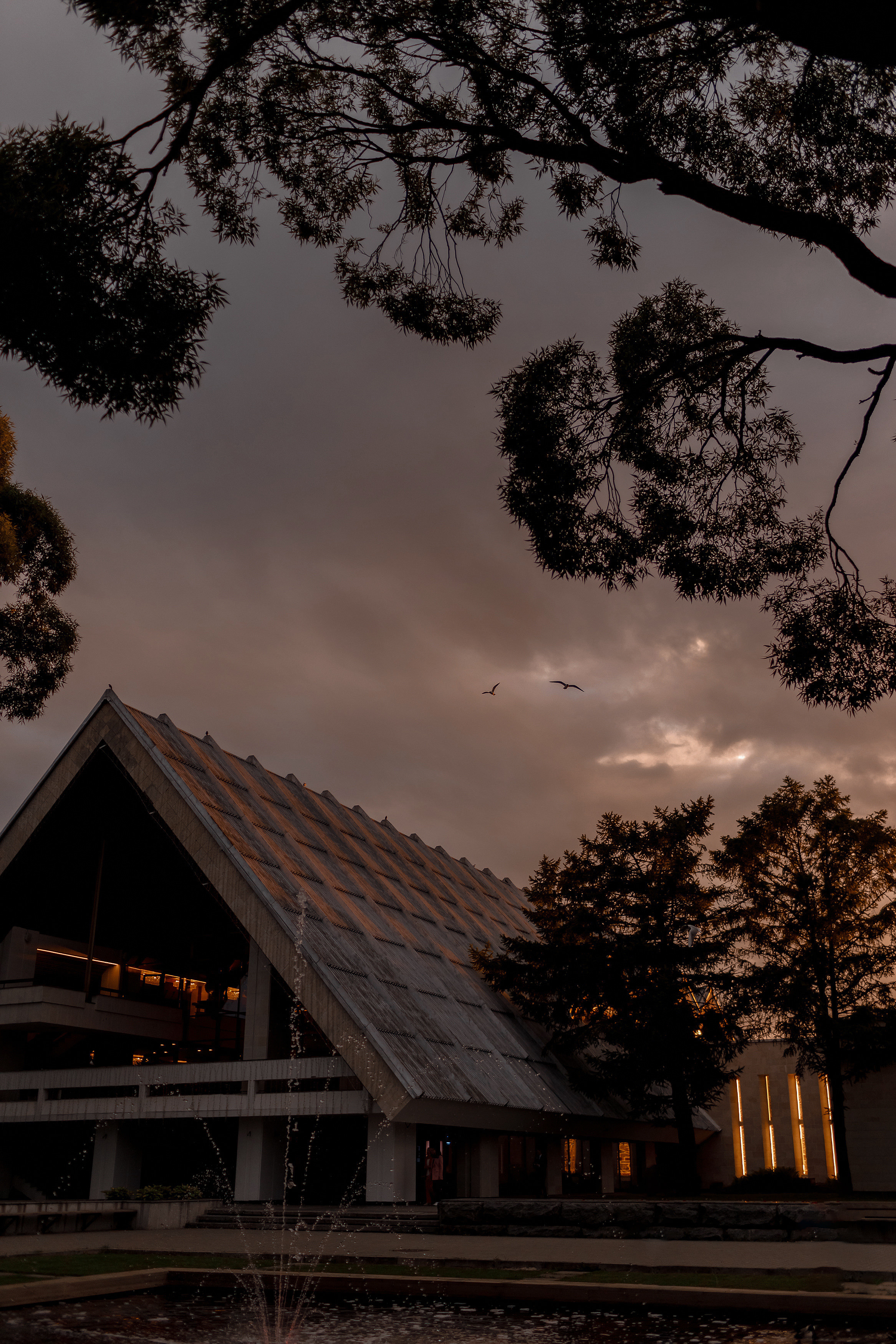 Юля и Тимур. Свадебный фотограф Аня Милграм