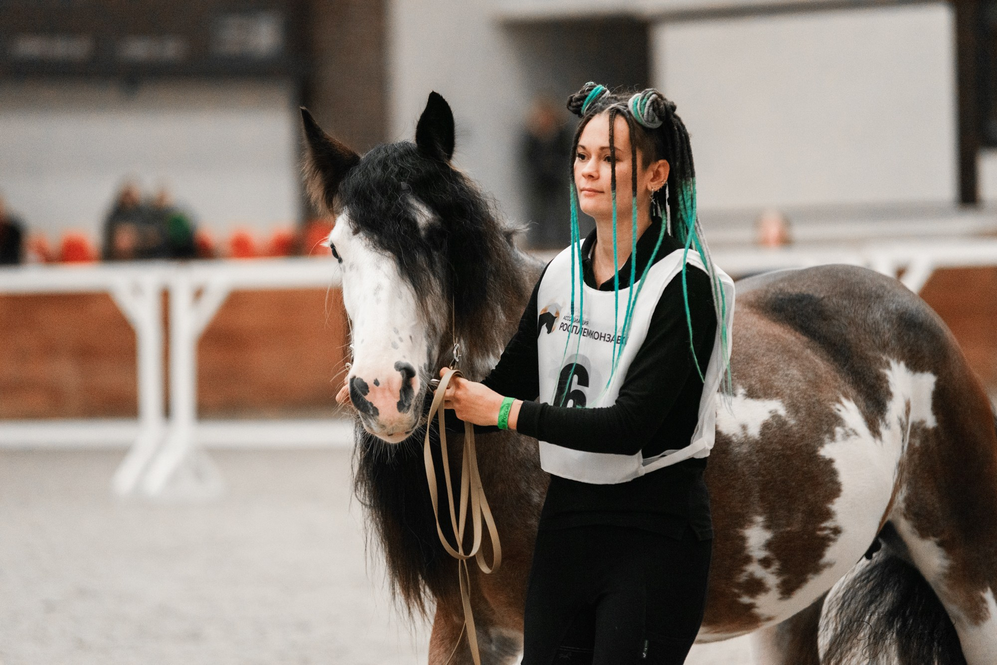 8-я международная выставка Конная Россия. Конный фотограф Куракина Дарья • Фотосессии с лошадьми