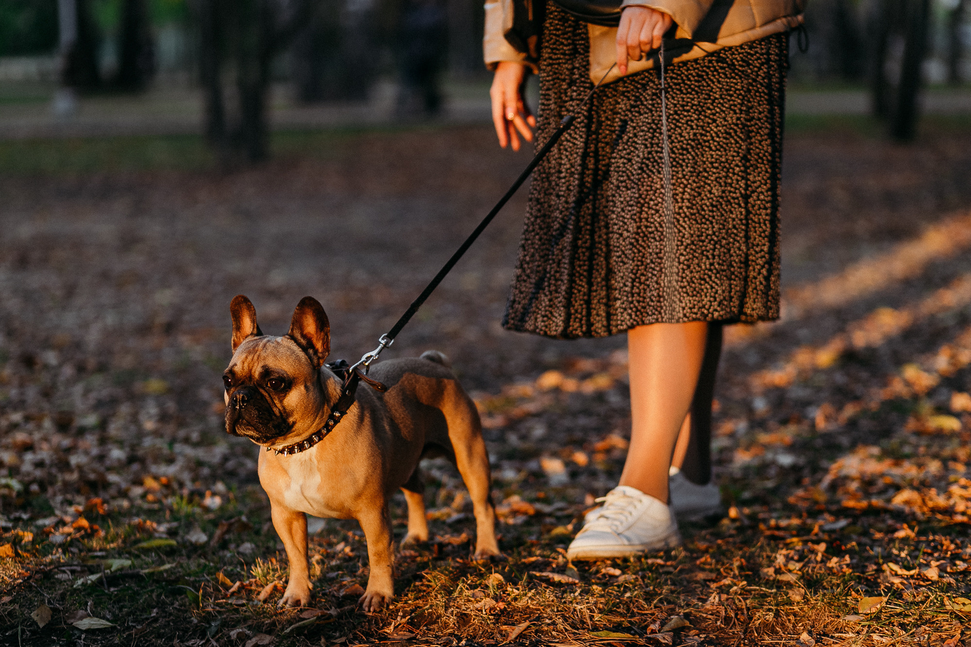 Осень в «Нарымском сквере». Фотограф в  г. Новосибирск