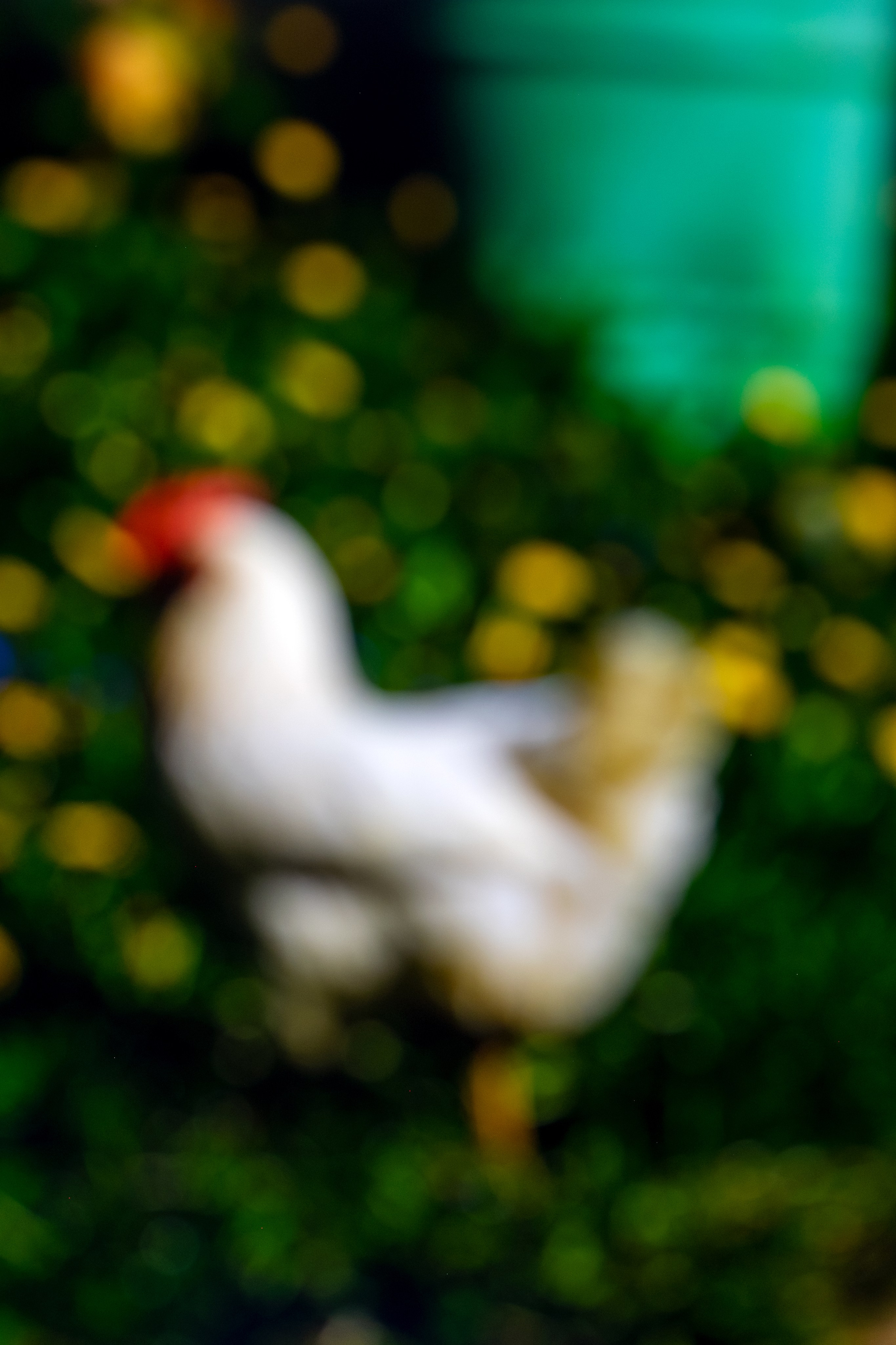 Жизнь без фокуса. Фотограф в Москве, в Самаре Инна Мамонова