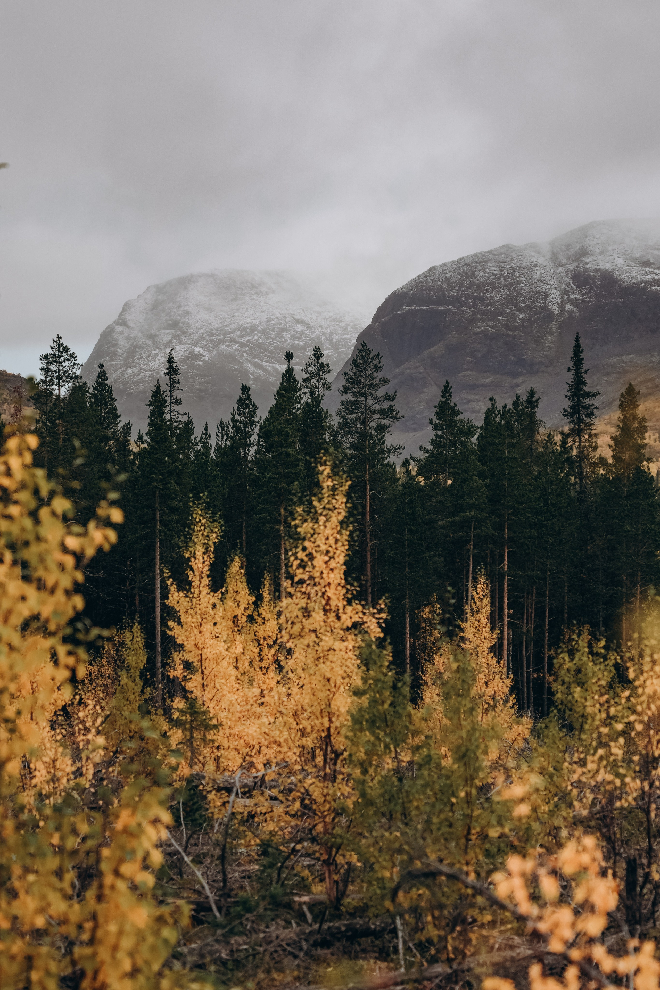 СЕВЕР. Event фотограф Степанова Александра