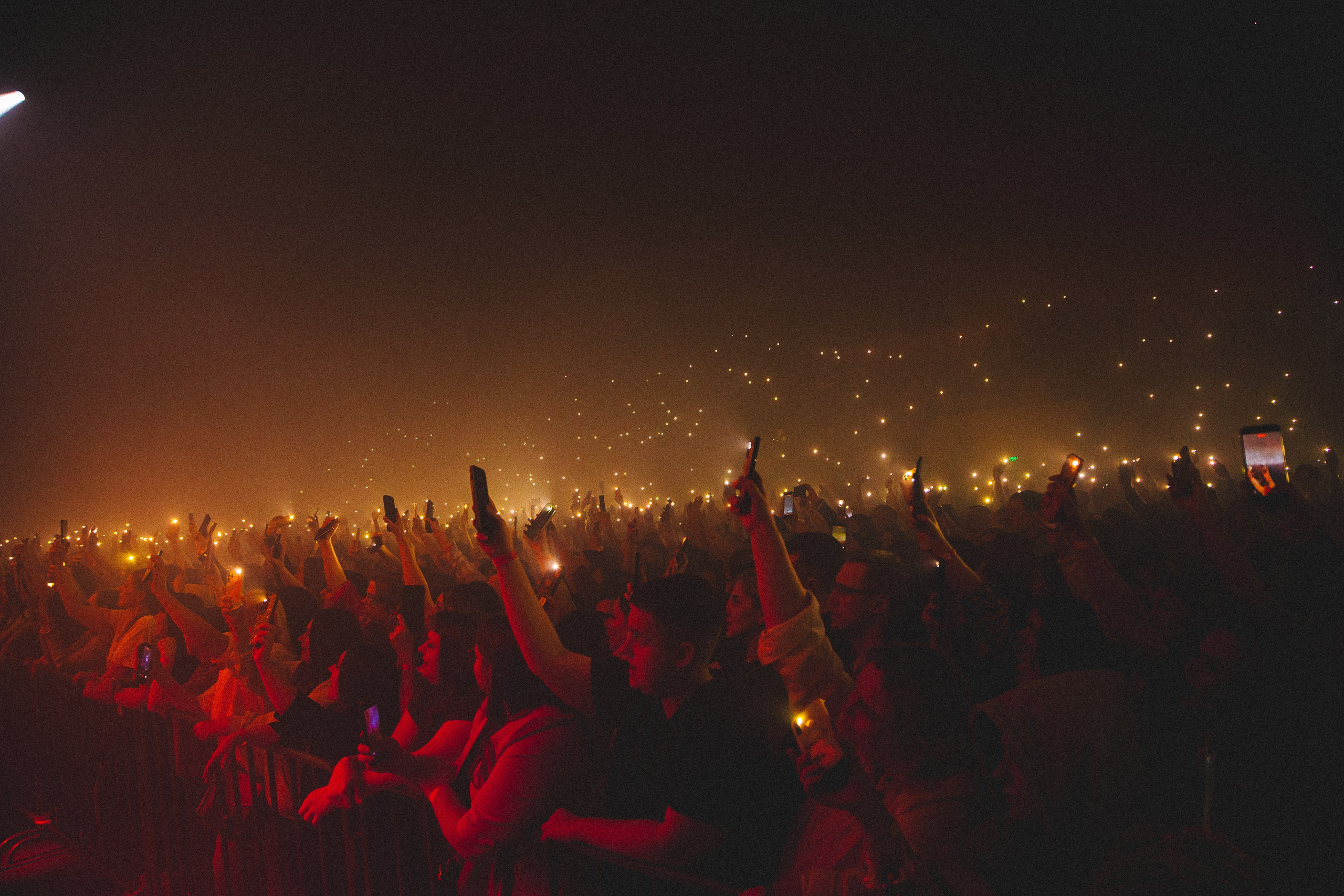 КОНЦЕРТЫ. ФОТОГРАФ АЛЕКСАНДРА ПЕРМЯКОВА