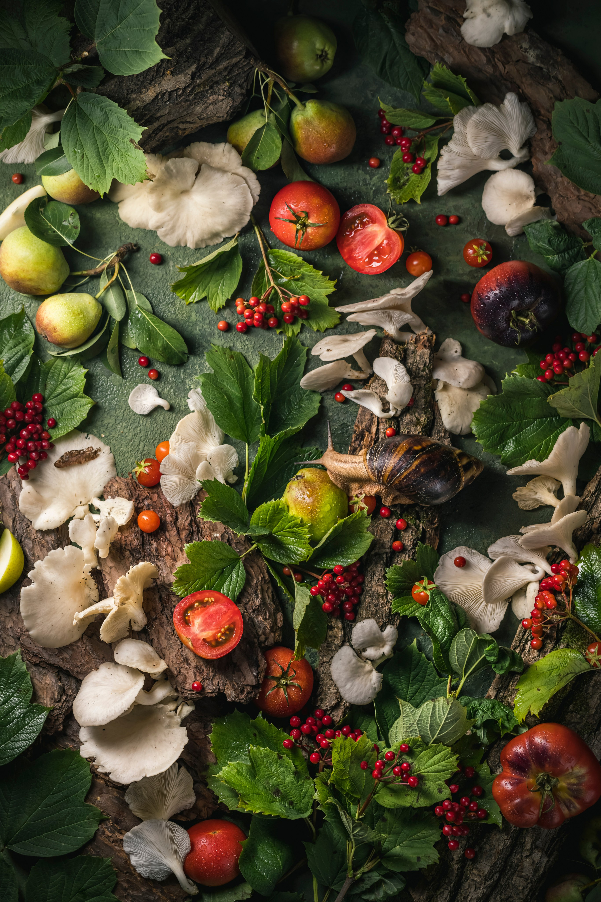 Mushrooms stories. Foodie Stories (гастрономические истории) рекламная фуд-фотосъёмка, Москва