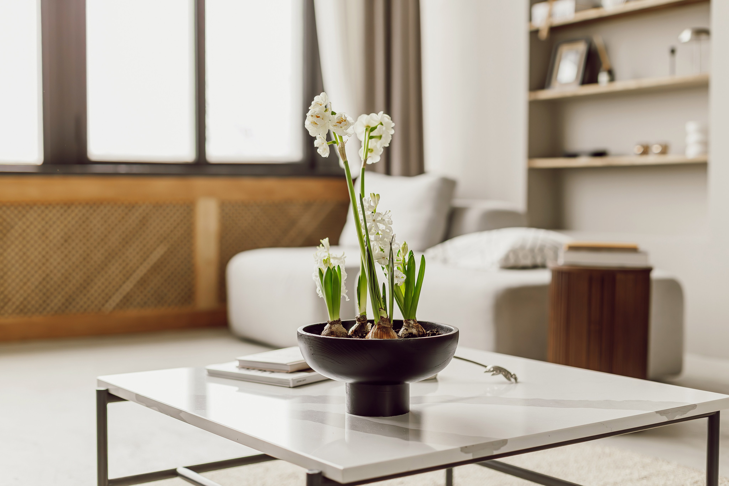 Интерьеры и предметная съемка. Портретный и семейный фотограф в Минске