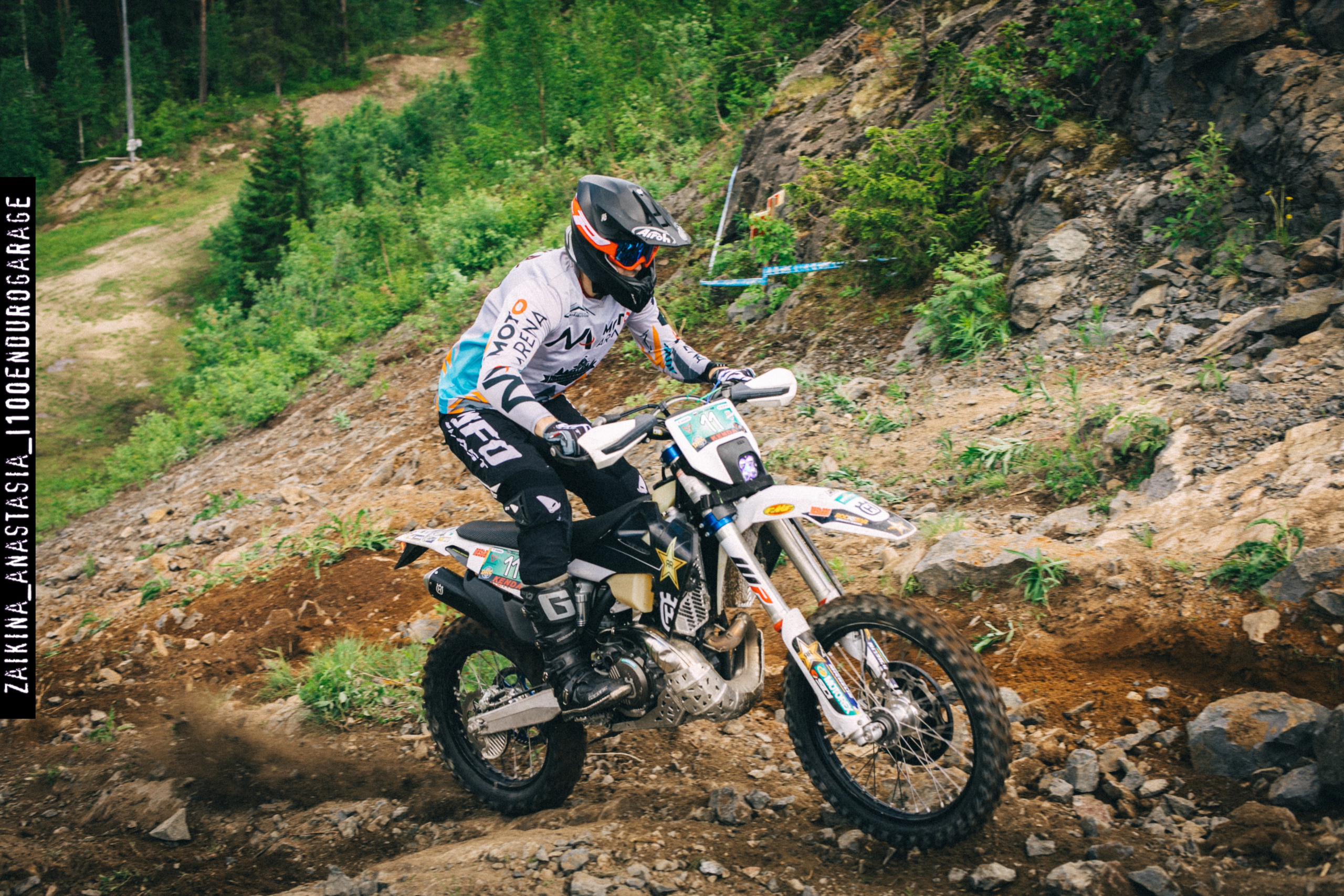 Шустрая Белка 2024. Фотограф Заикина Анастасия