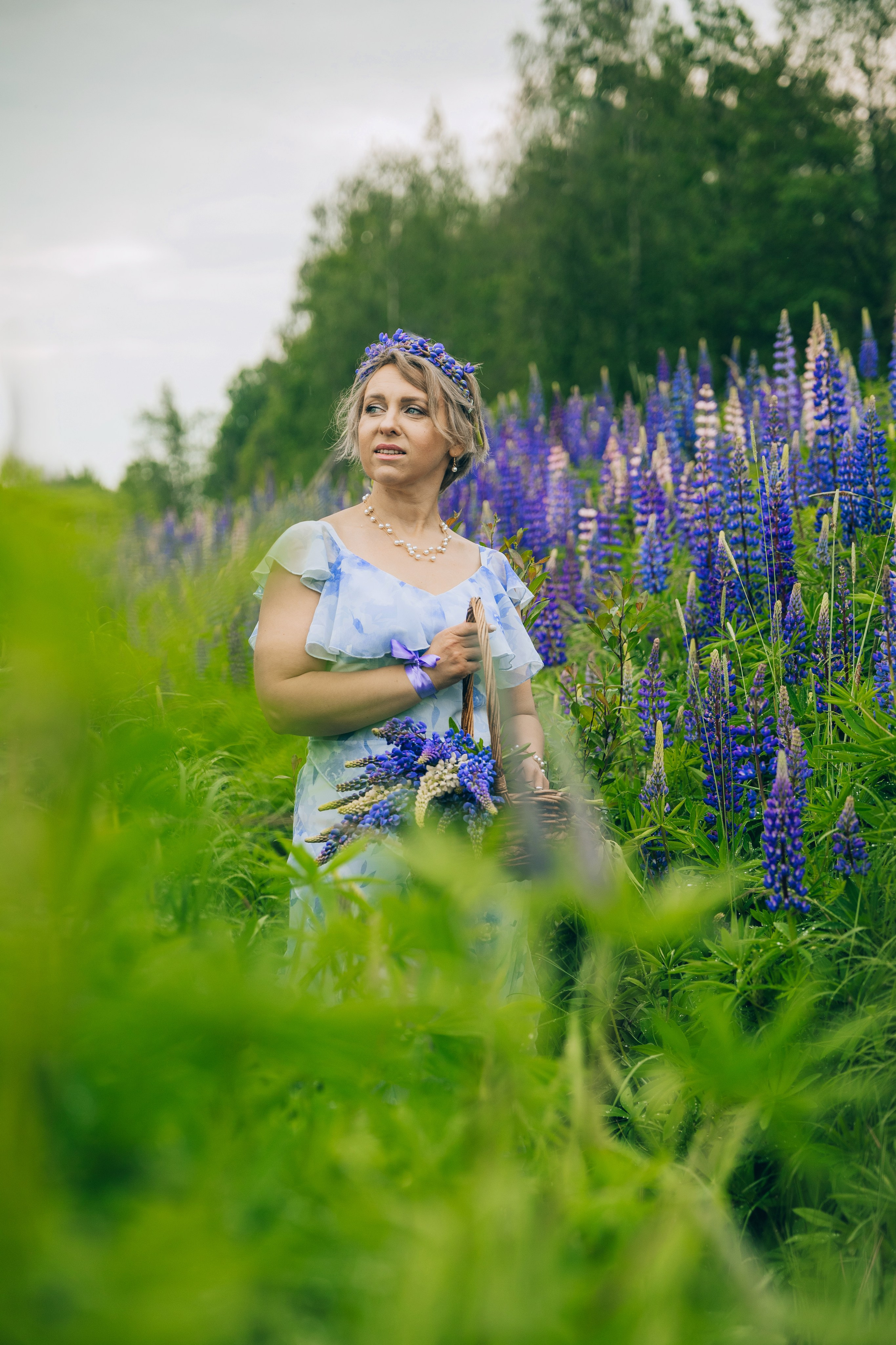 Люпины. Фотограф Александра Кузуб Санкт-Петербург