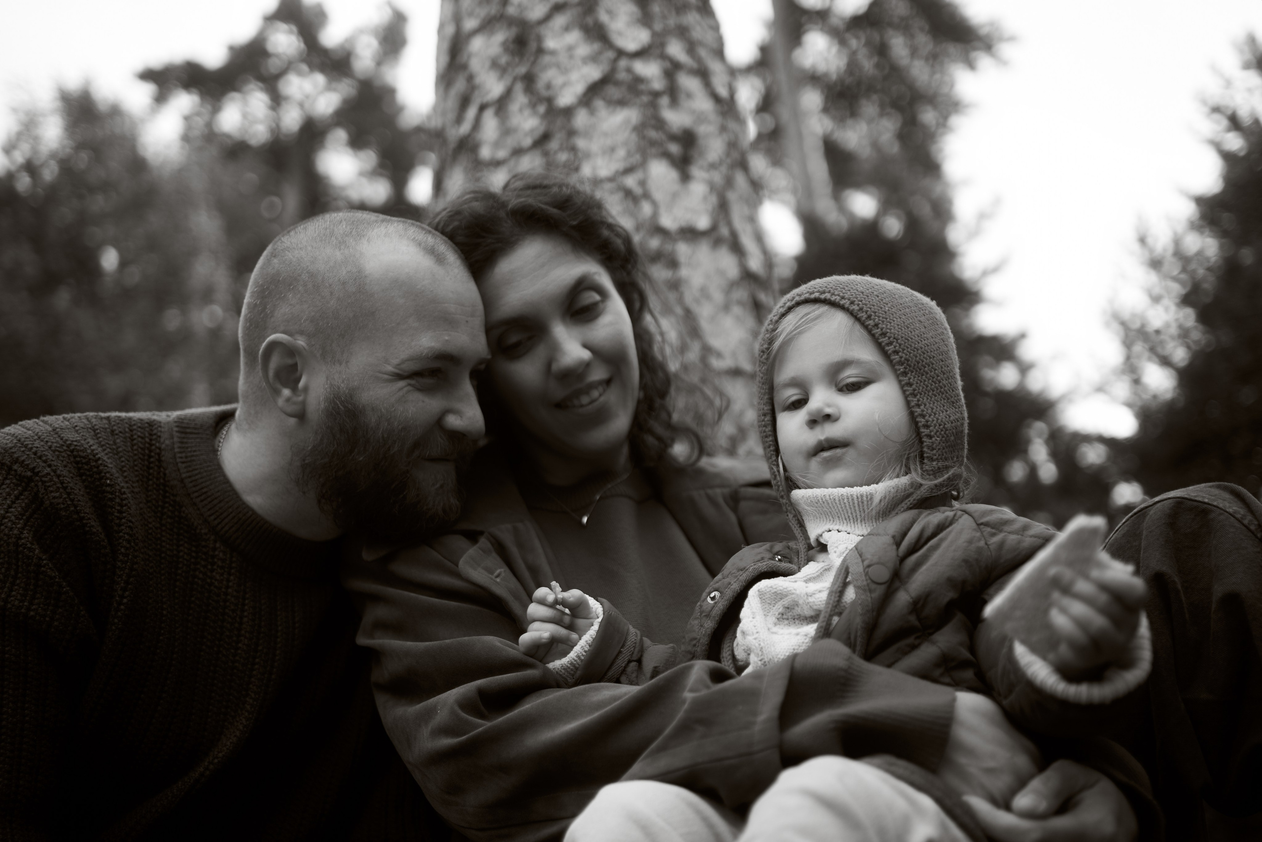 Печенье в песке. Фотограф анималист Москва Дарья