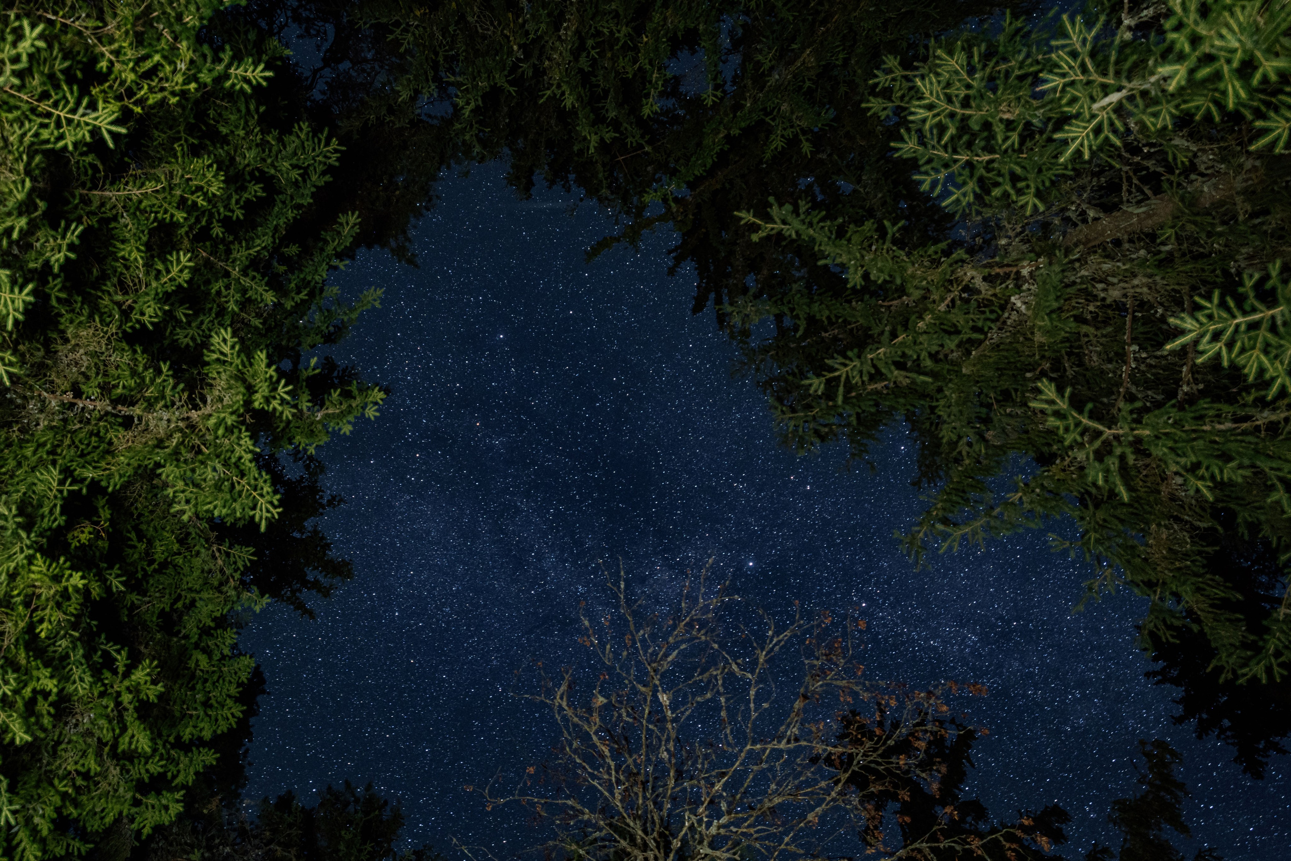 СЕВЕР. Event фотограф Степанова Александра