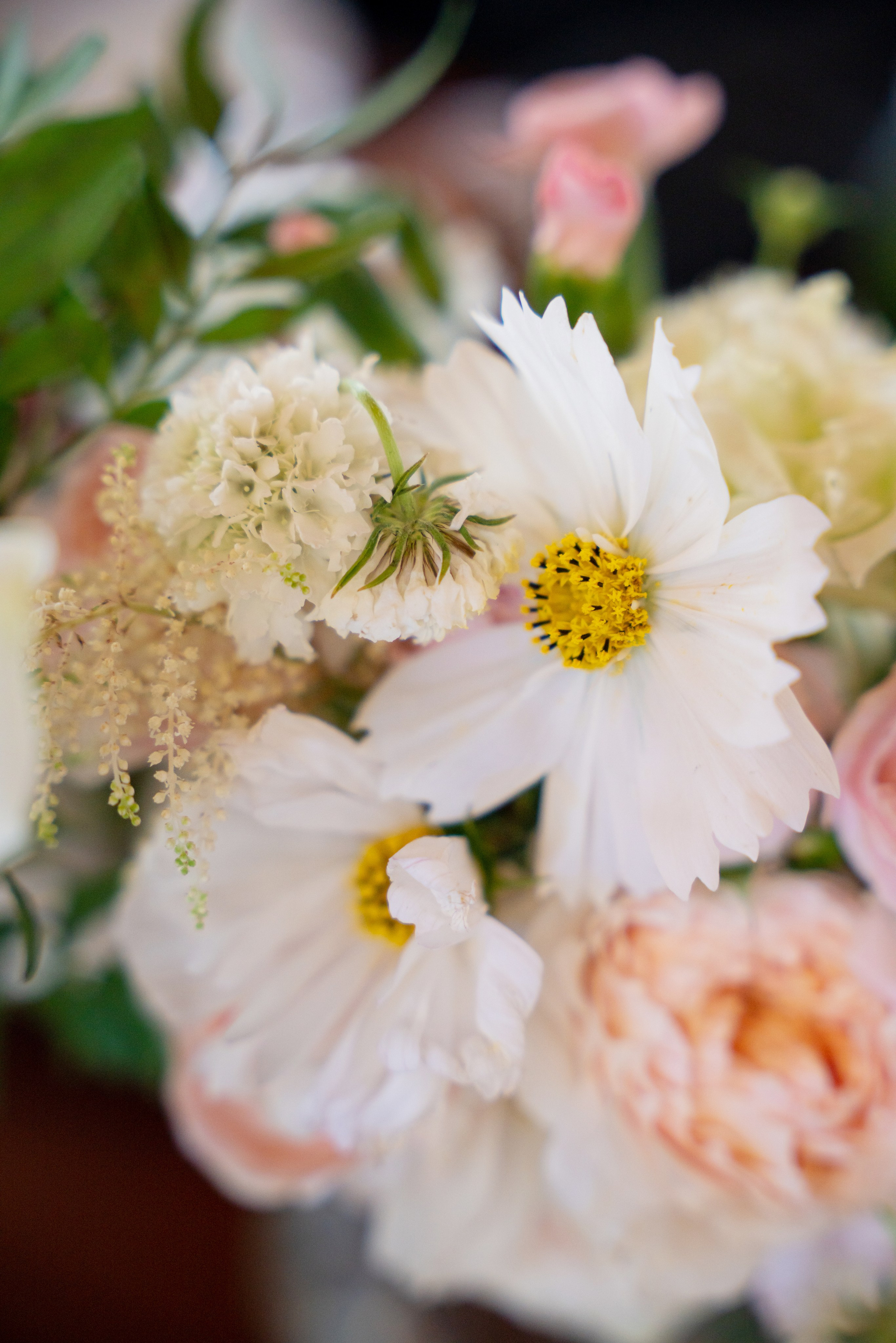 МИХАИЛ И ЮЛИЯ. Фотограф на любое мероприятие