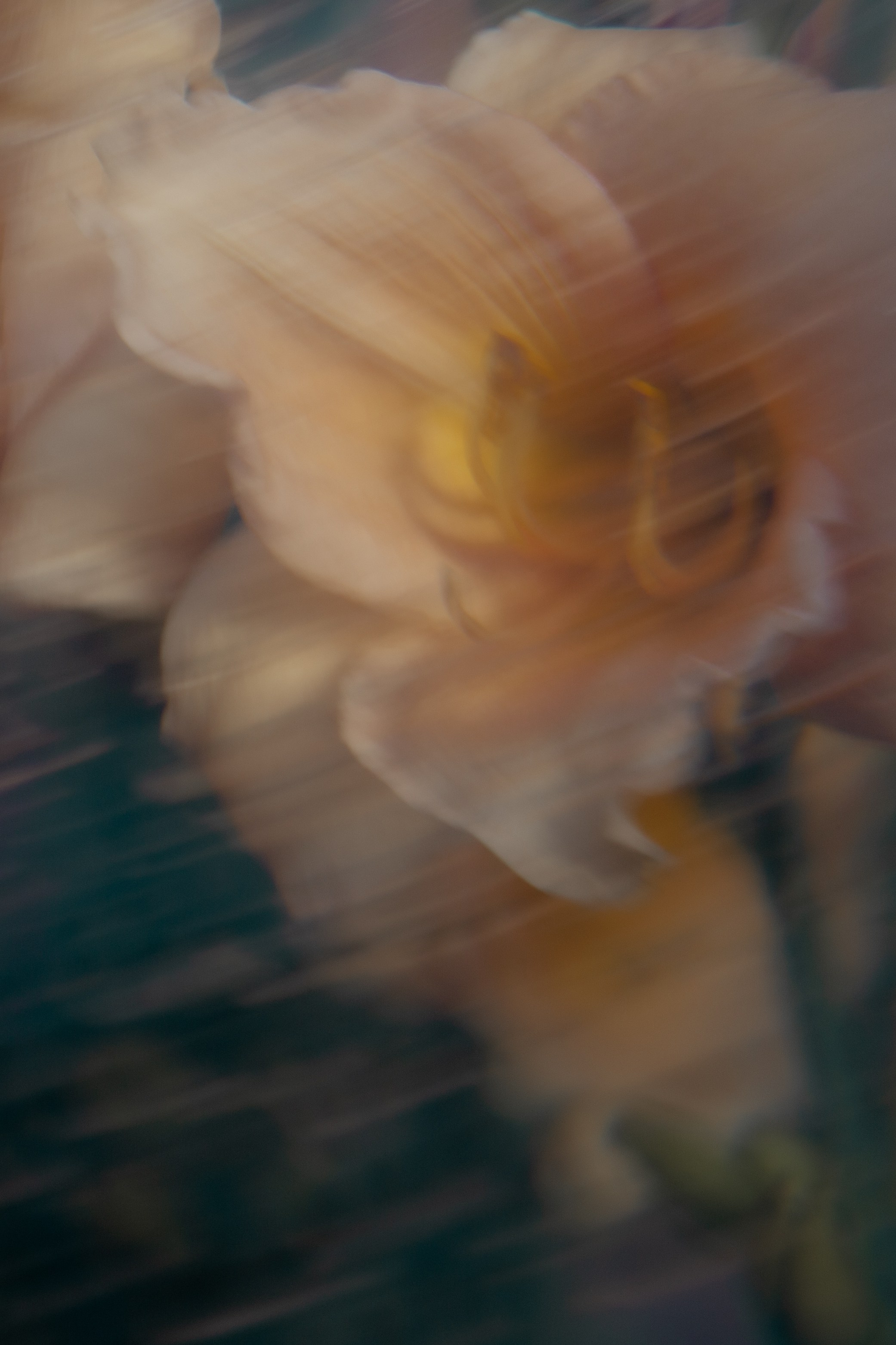 Арт-фотография. Модный фотограф в Самаре/Москве Ксения Ли