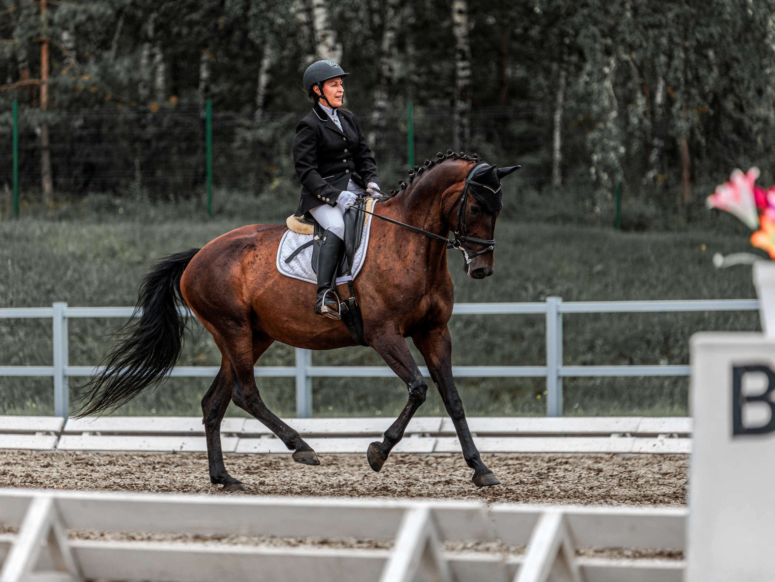 2025. Конный фотограф в Красноярске — Любовь Похабова