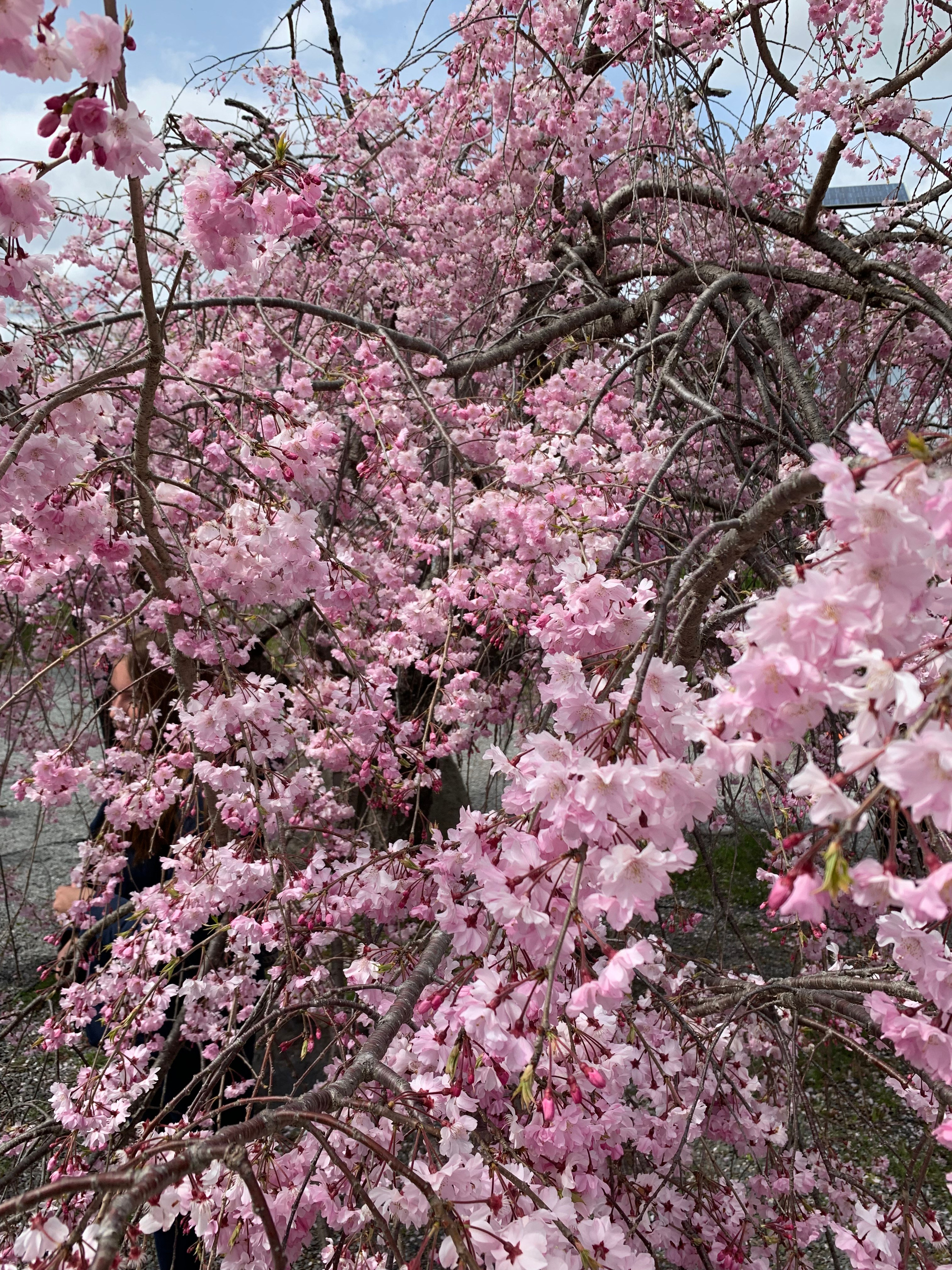 2019 год. Тащилин Сергей. Фотографии. Жизнь. Хобби