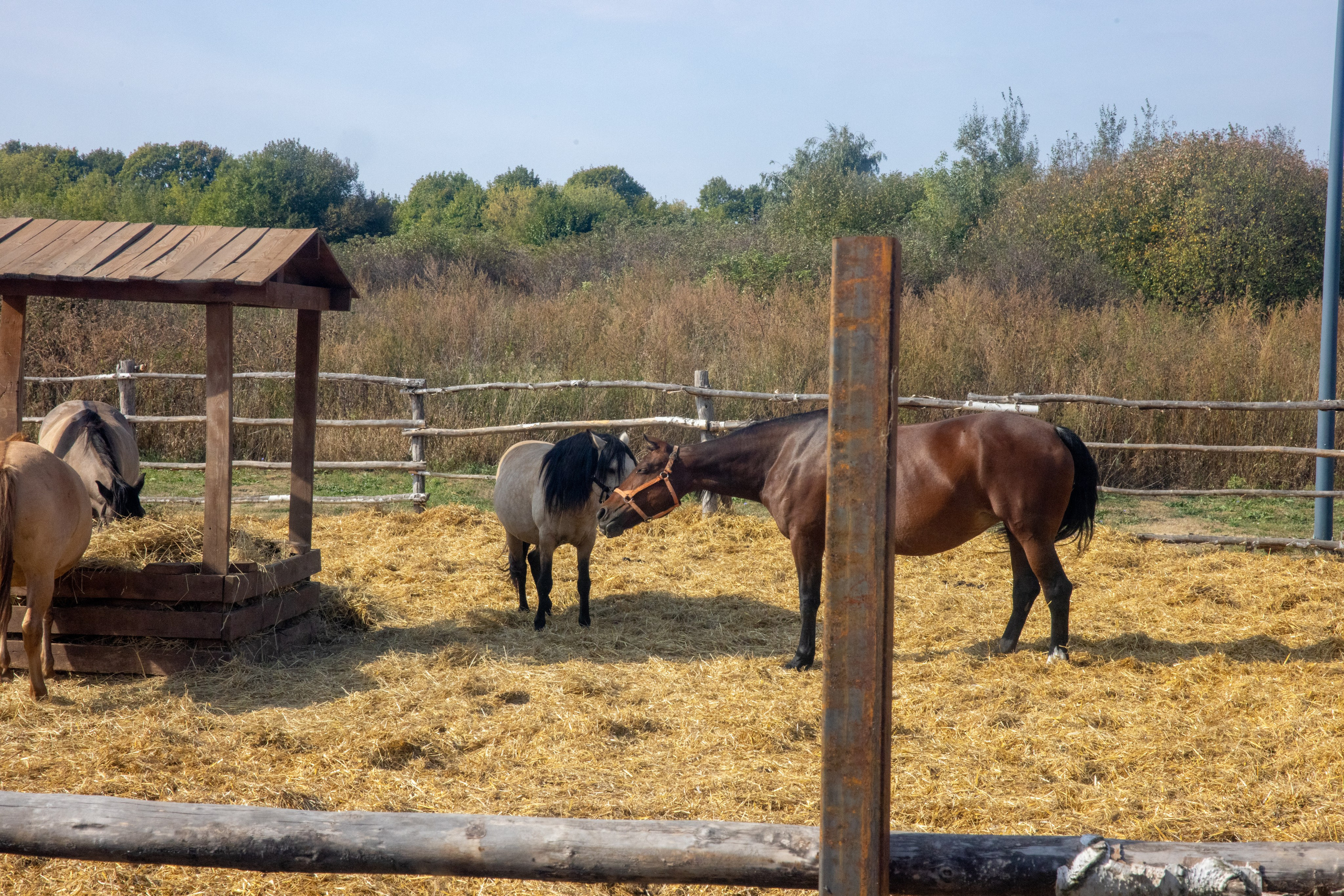 Поездка на поле Кулеково. Фотограф в Туле Крупский АнДРей. Фотостудия «КАДР71» в Туле