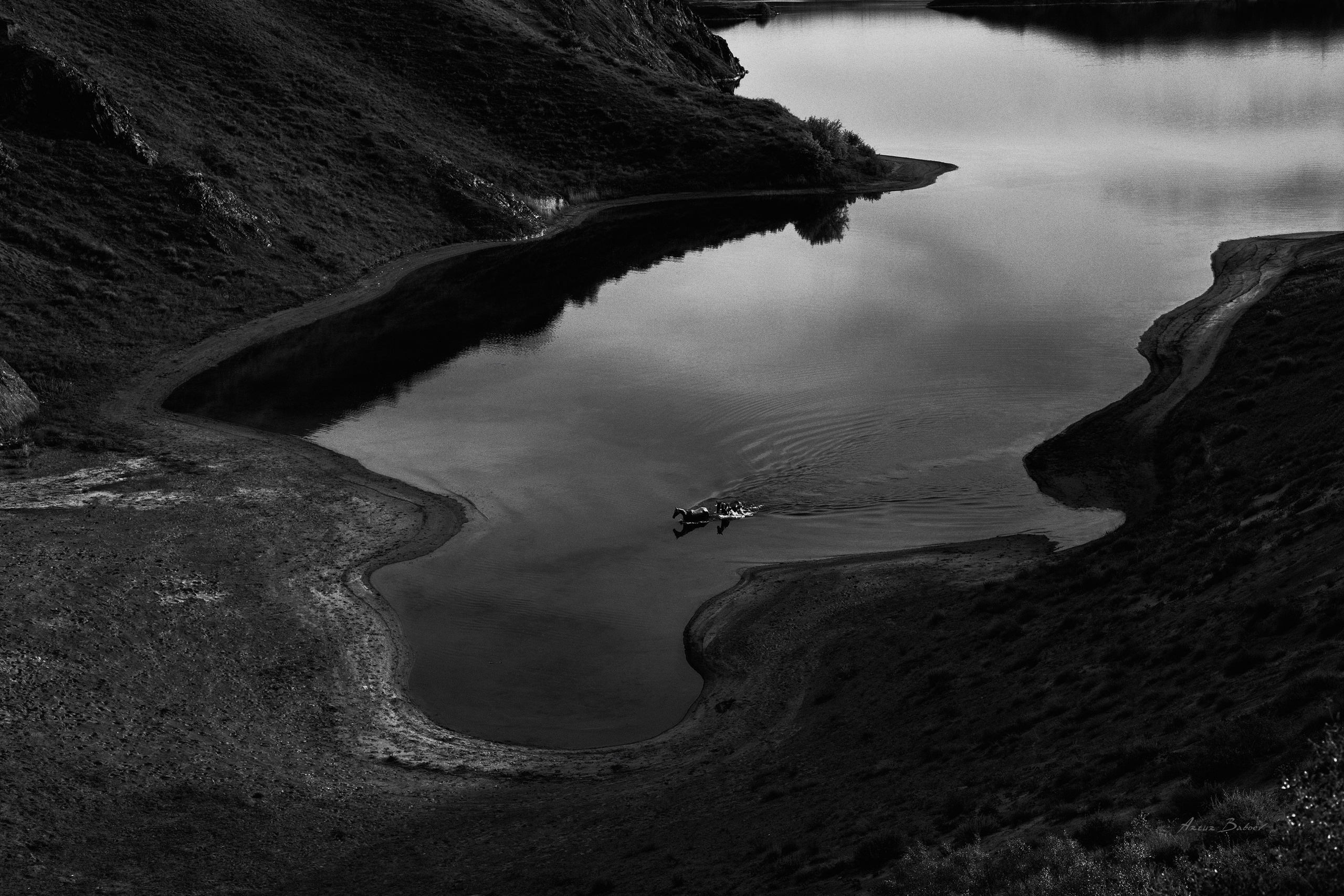 Gallery. Art photos of horses — ARTUR BABOEV | Photographer