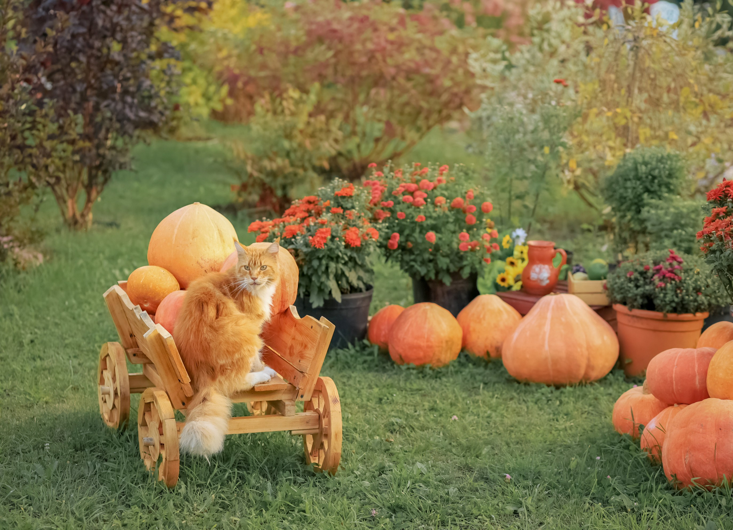 Парк-заповедник Купидон. Семейный фотограф в Димитровграде Елена Патрушева