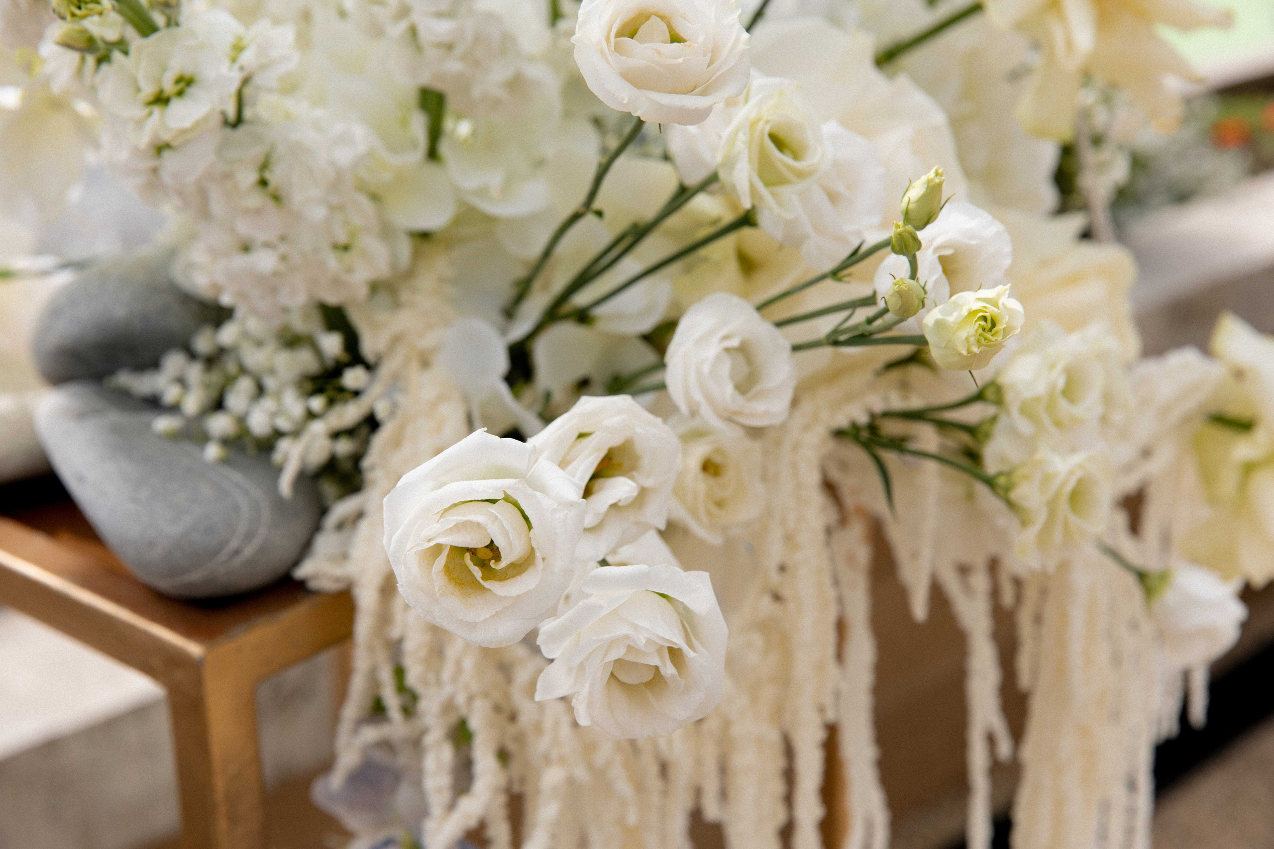 Профессиональная фото- видеосъемка в Сочи. Свадебный фотограф и видеограф Краснодар, Ростов, Сочи, Новороссийск