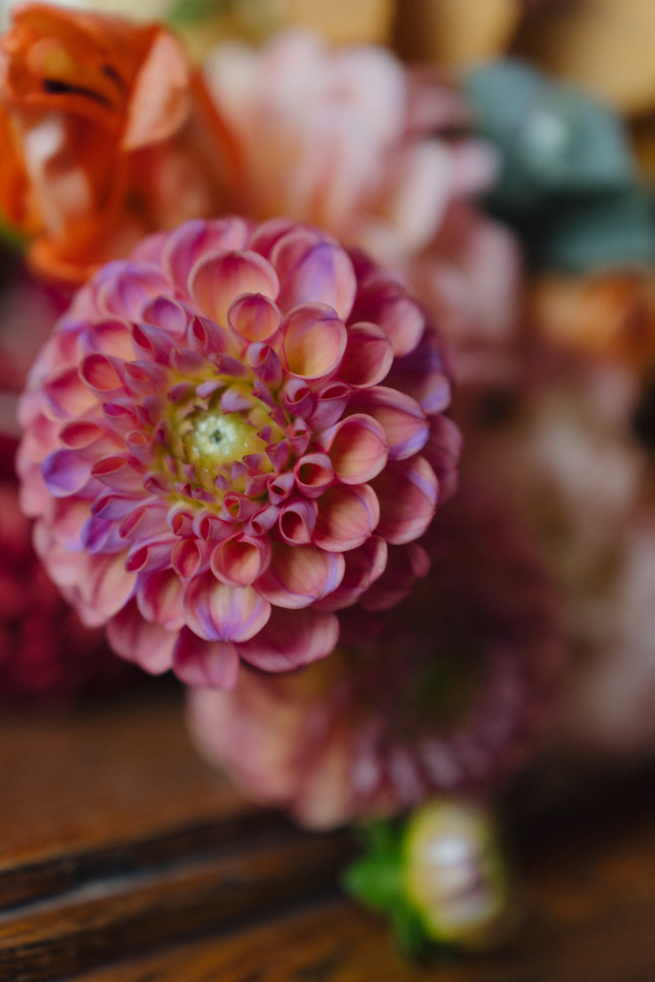 Свадебный фотограф Самара. Свадебный фотограф Грузия. Цены свадебный фотограф Самара. Цены свадебный фотограф Грузия. Фотограф в Самара Роман Квес