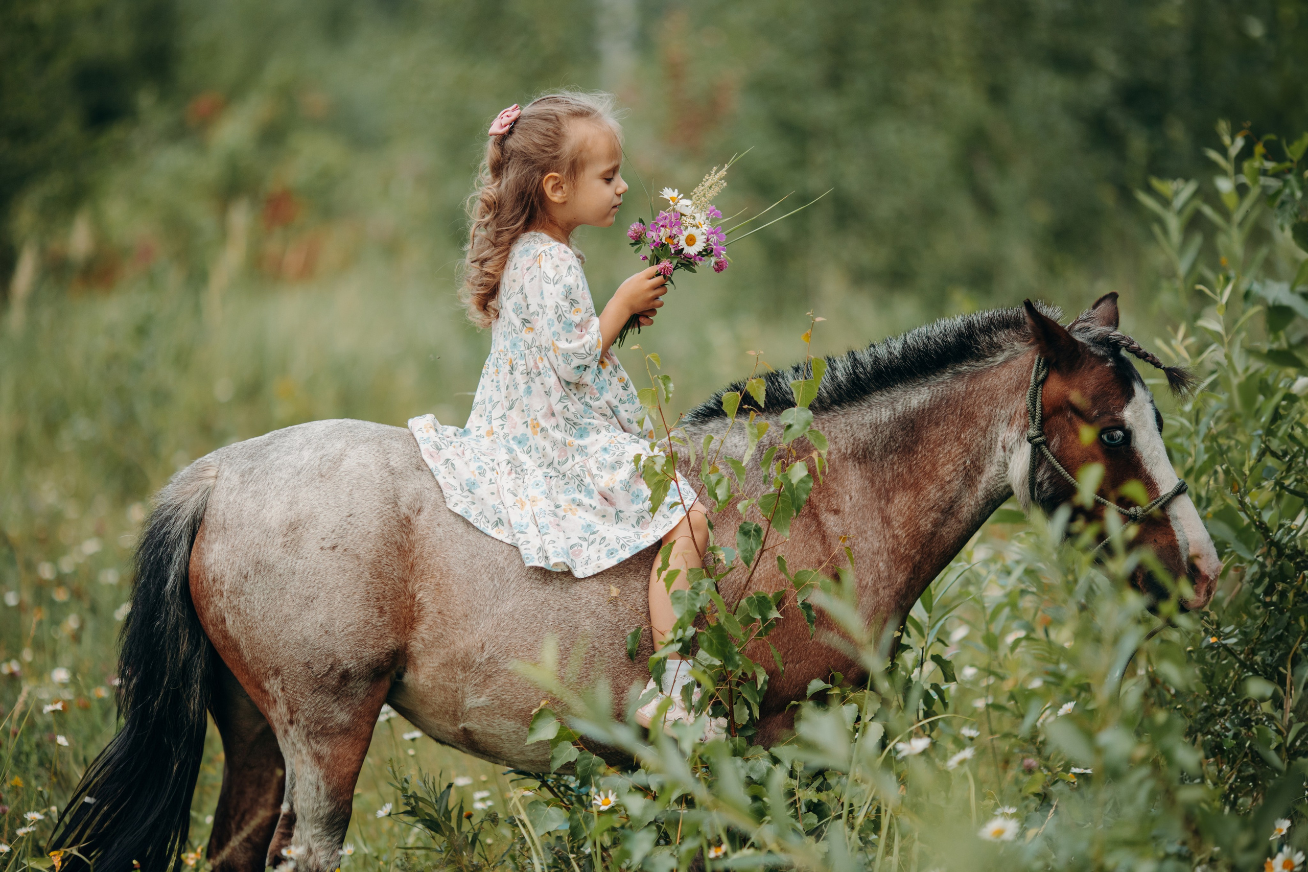 Малышка Вика. Анна Молчанова конный фотограф в Тюмени | фотосессии с лошадьми Тюмень