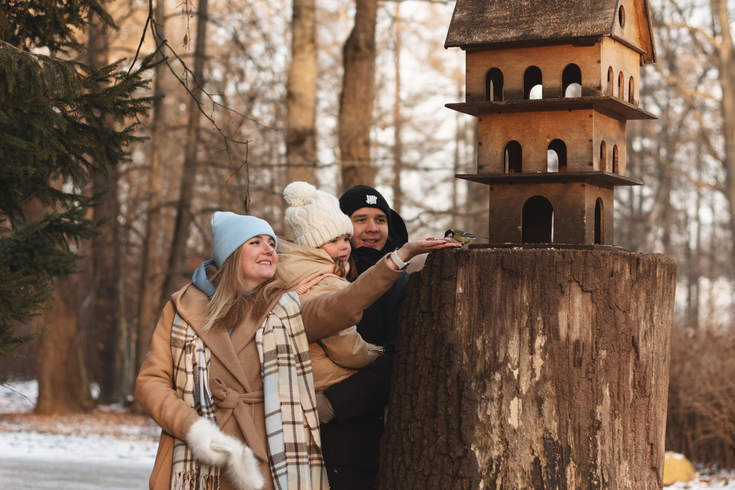 Семейная фотосессия в фотостудии Санкт-Петербург. Фотограф Санкт-Петербург Конюхова Мария