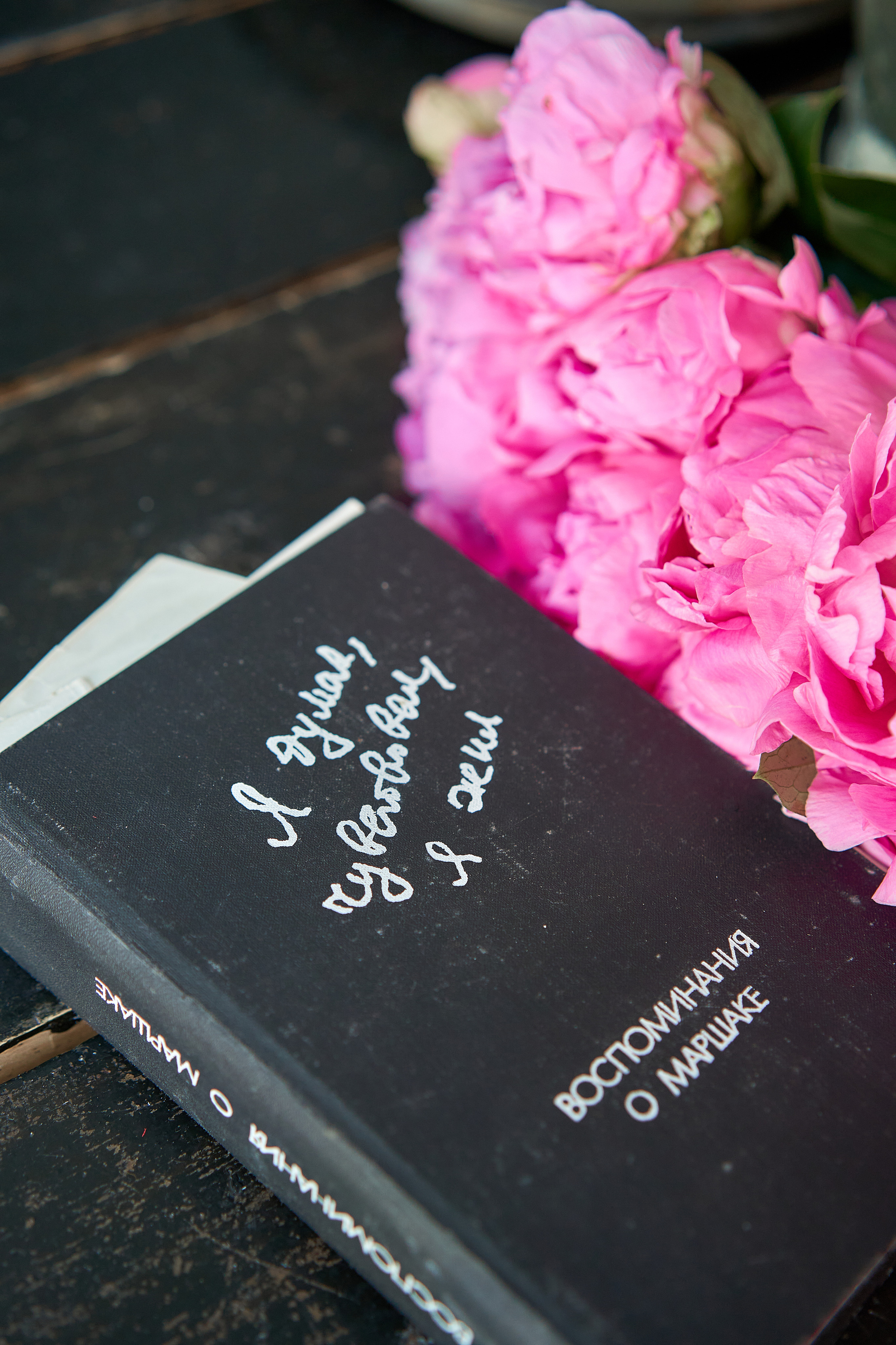 Екатерина. Фото/видео контент Москва