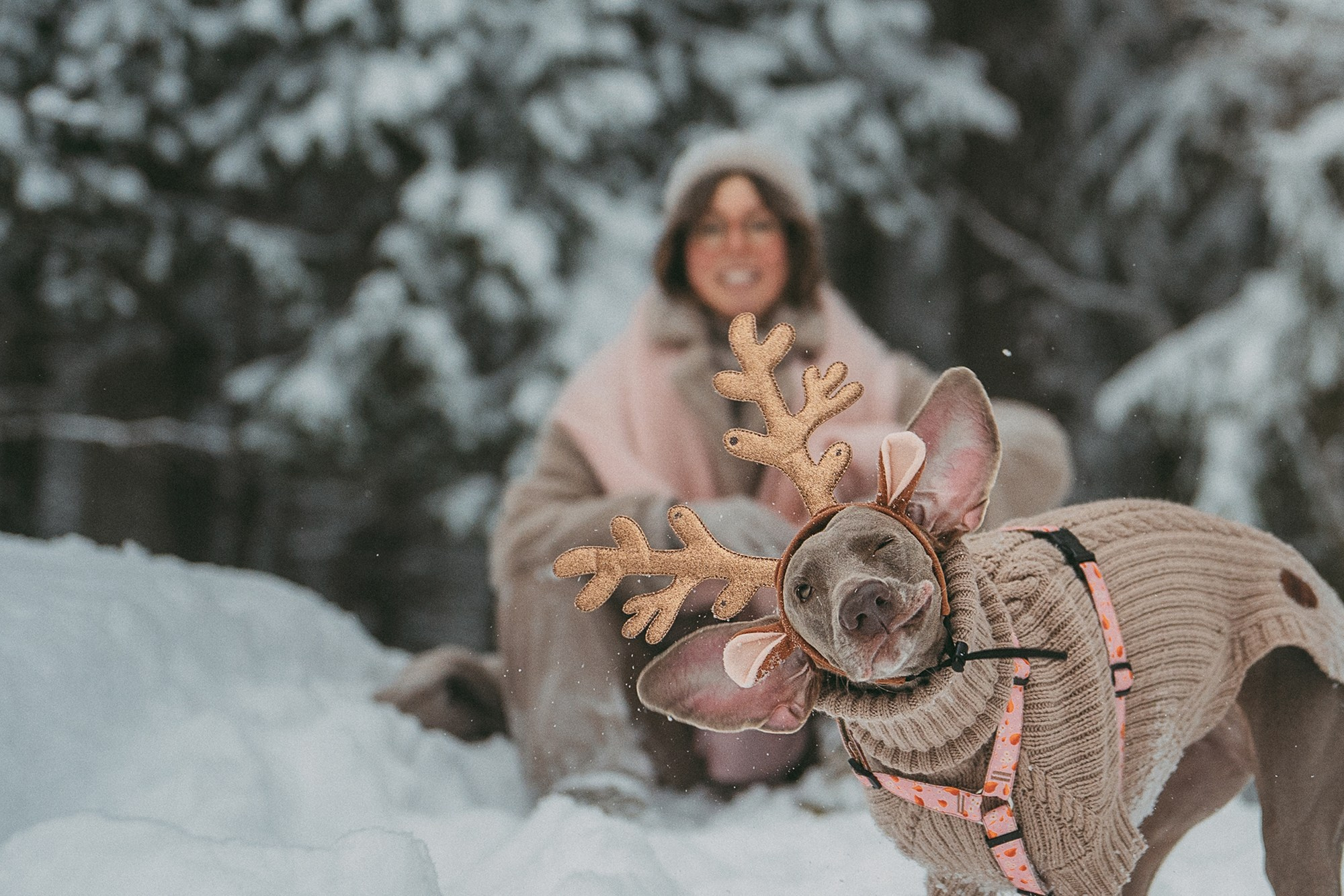 Лена и Фанни. Фотограф анималист в Москве и Санкт-Петербурге Свиридова Анна