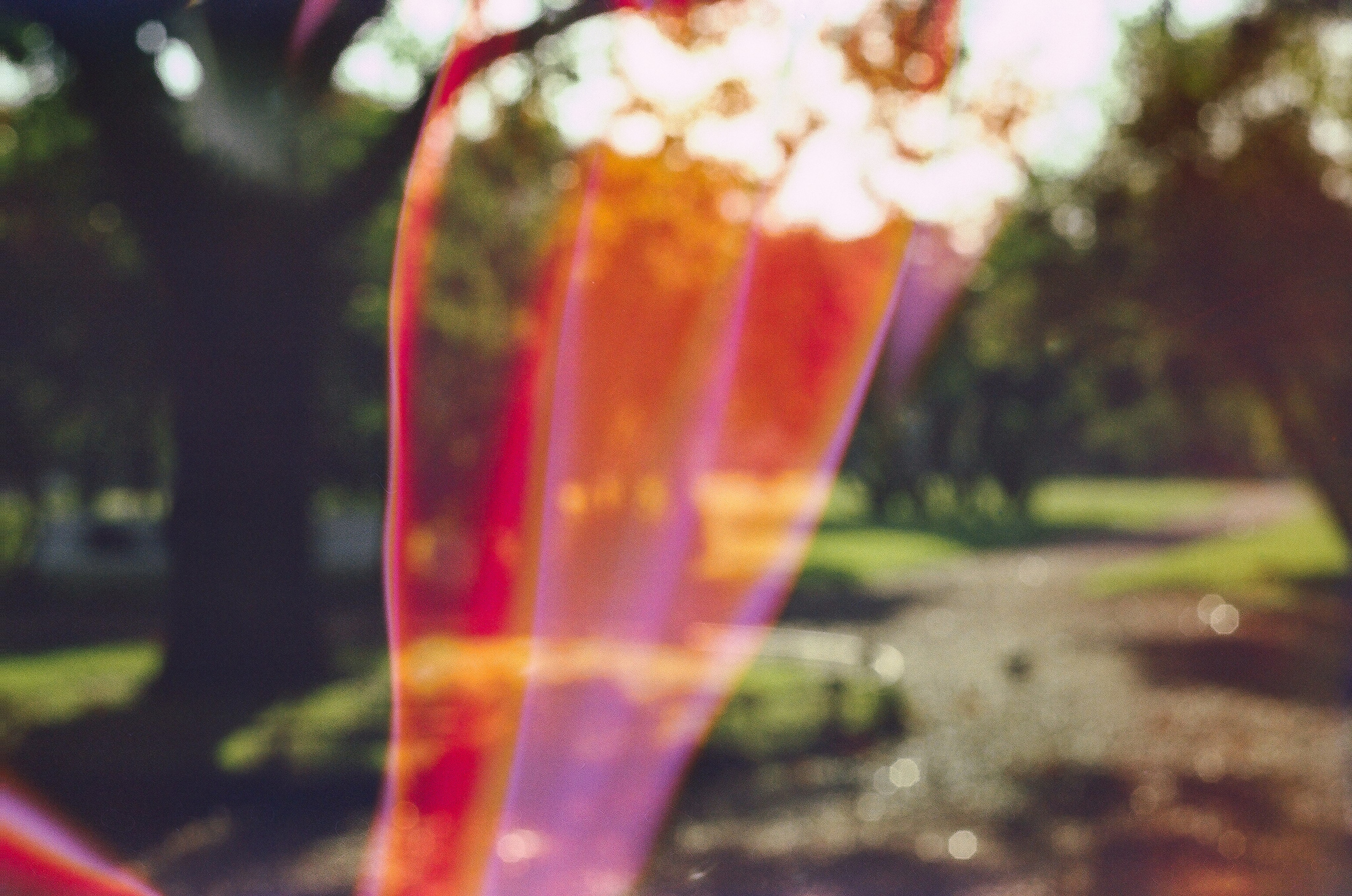 Работы вне серий — Сафонов Владислав. Сафонов Владислав, фотохудожник