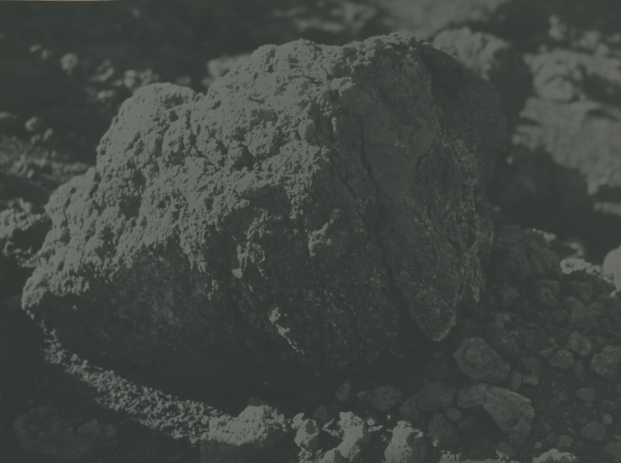 Проект «The Sun Burns» французской художницы Чочана Россо (Chochana Rosso). Private image