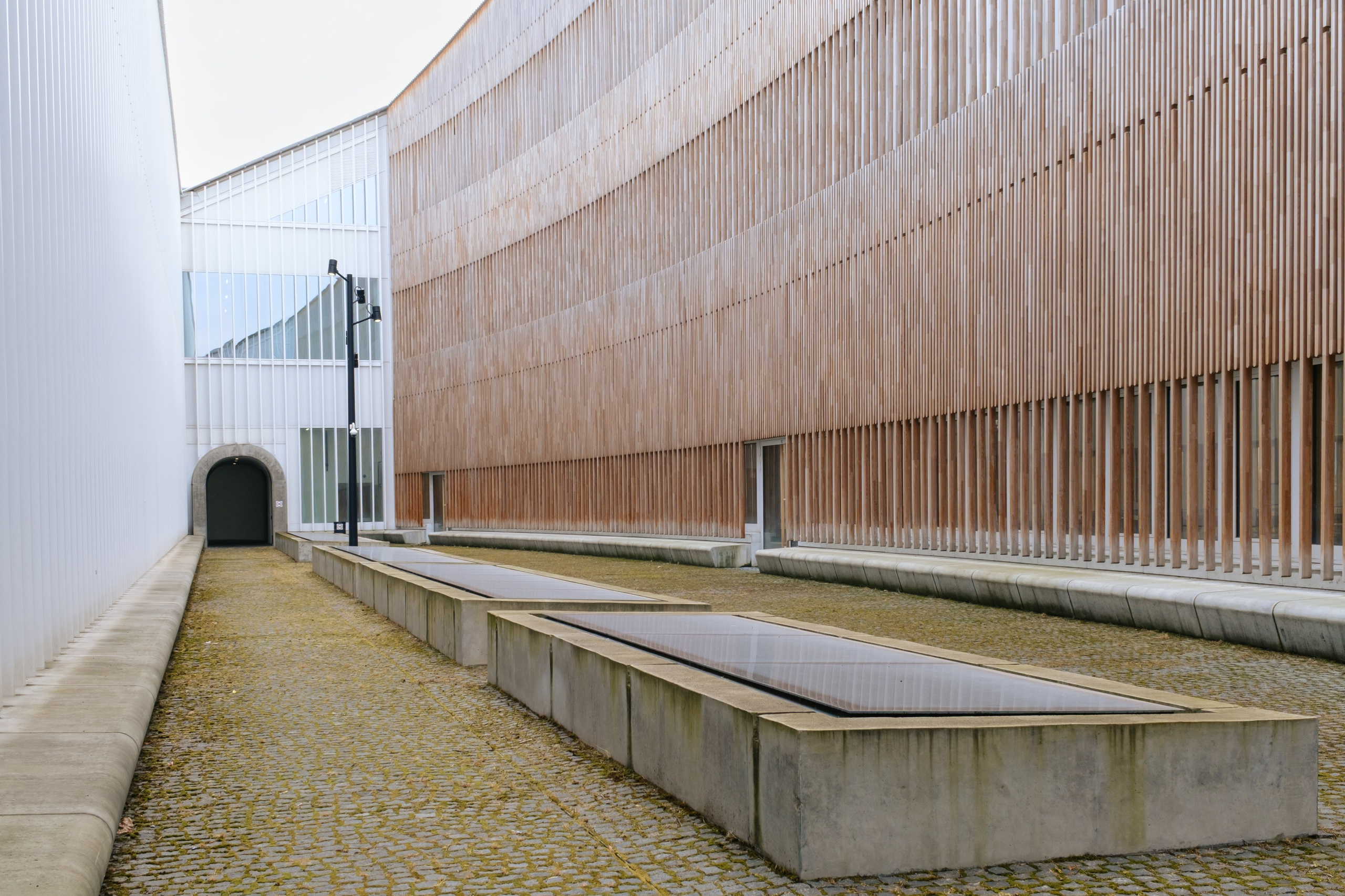 Сколтех, 2025. Фотограф и исследователь городской среды Ксения Русс