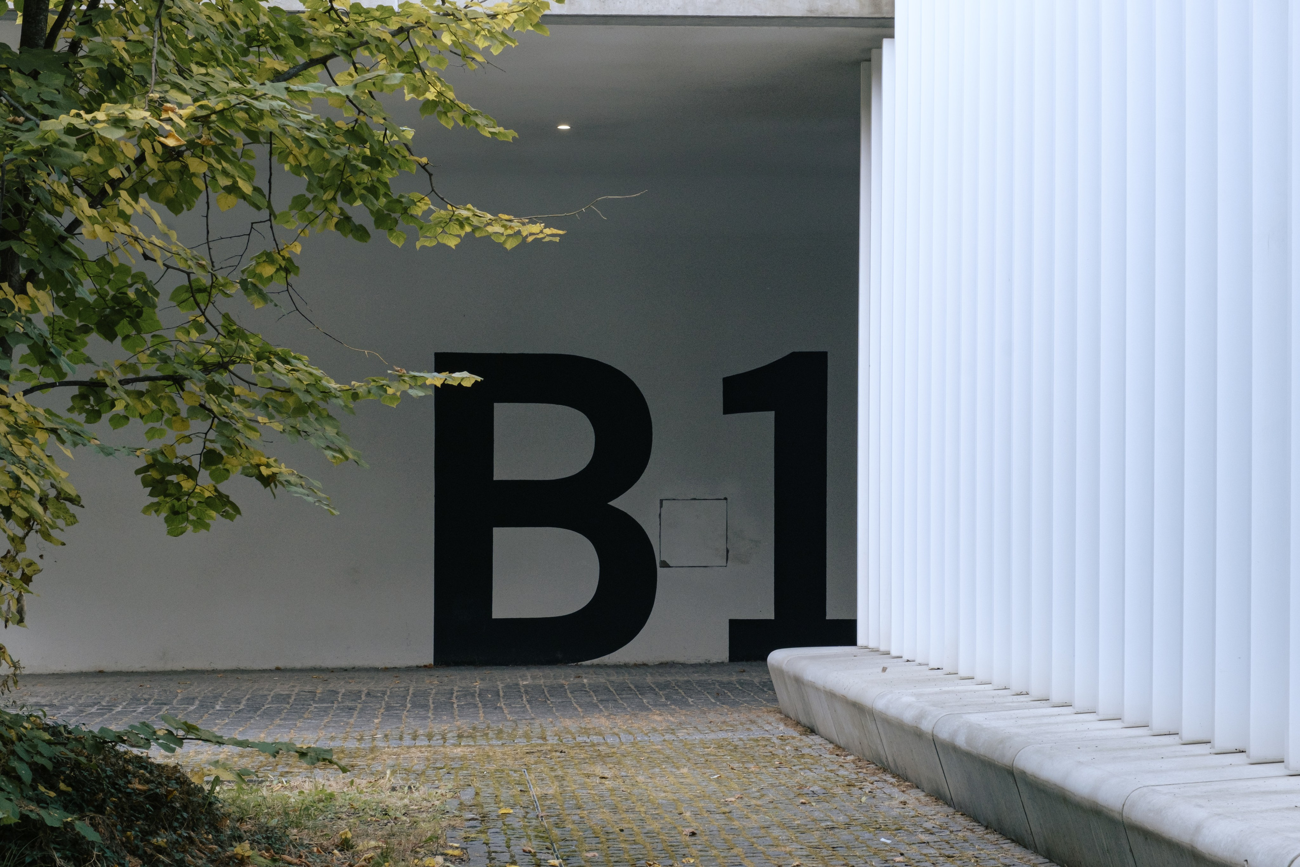 Сколтех, 2025. Фотограф и исследователь городской среды Ксения Русс