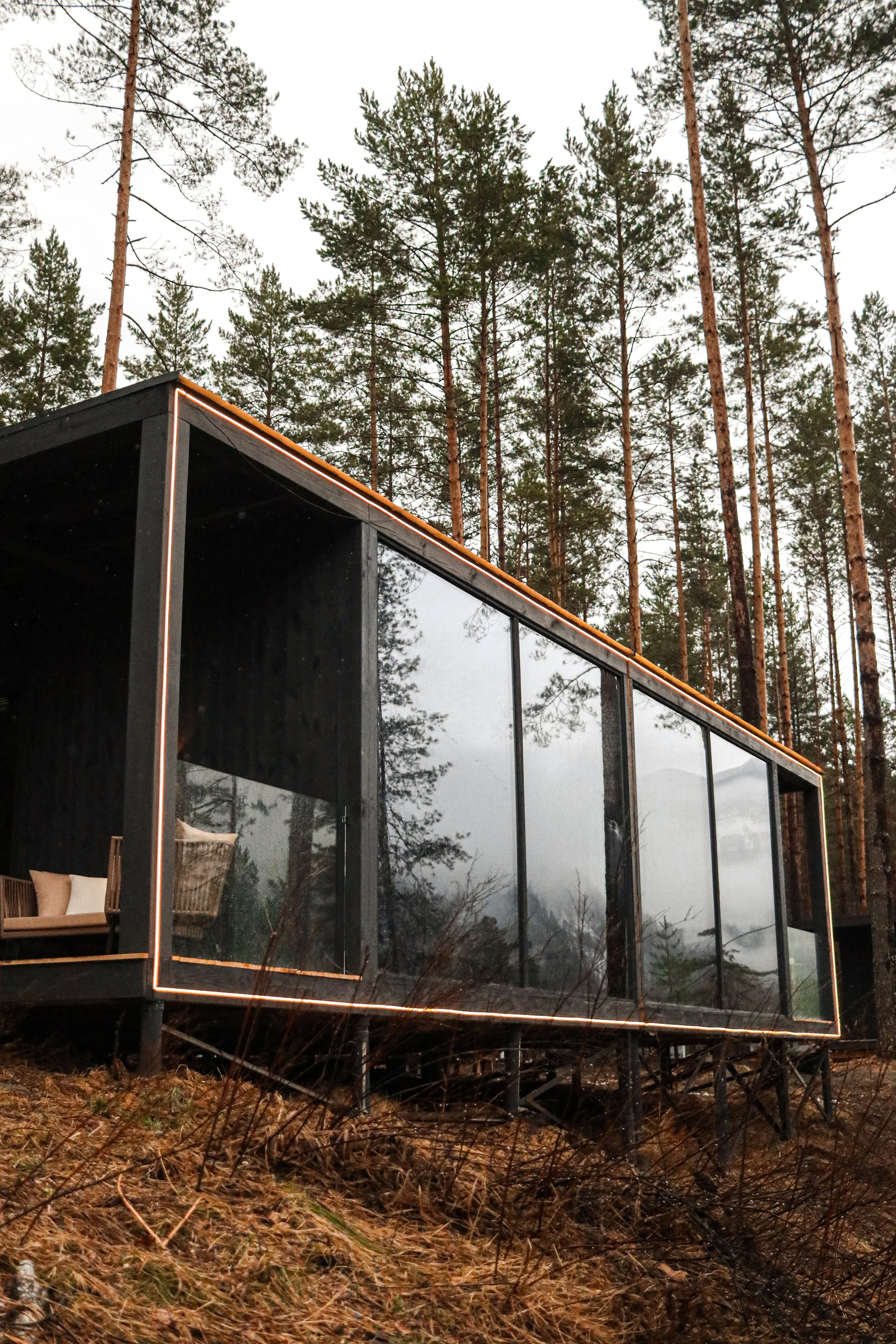 «Pinewood» парк-отель, респ. Алтай. Контент фотограф Дмитрий Борисов