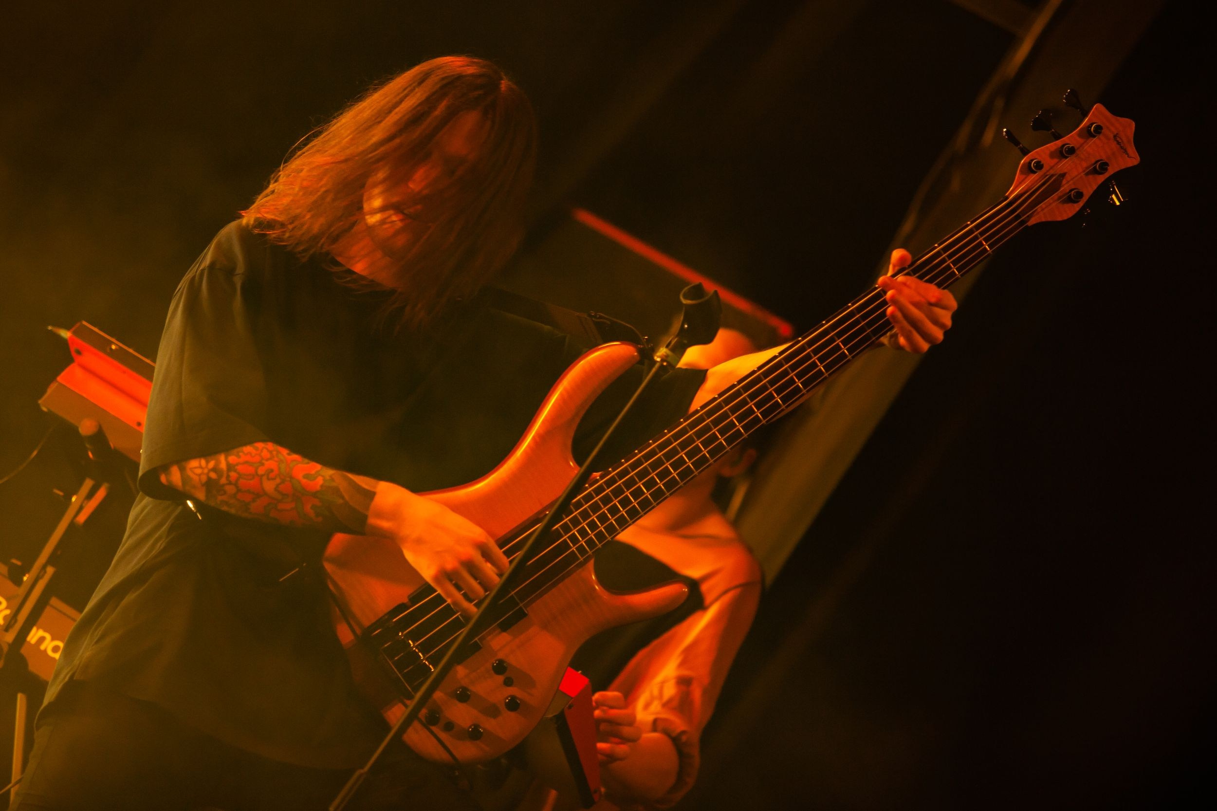 Animal ДжаZ. Репортажный фотограф Алексей Пирязев