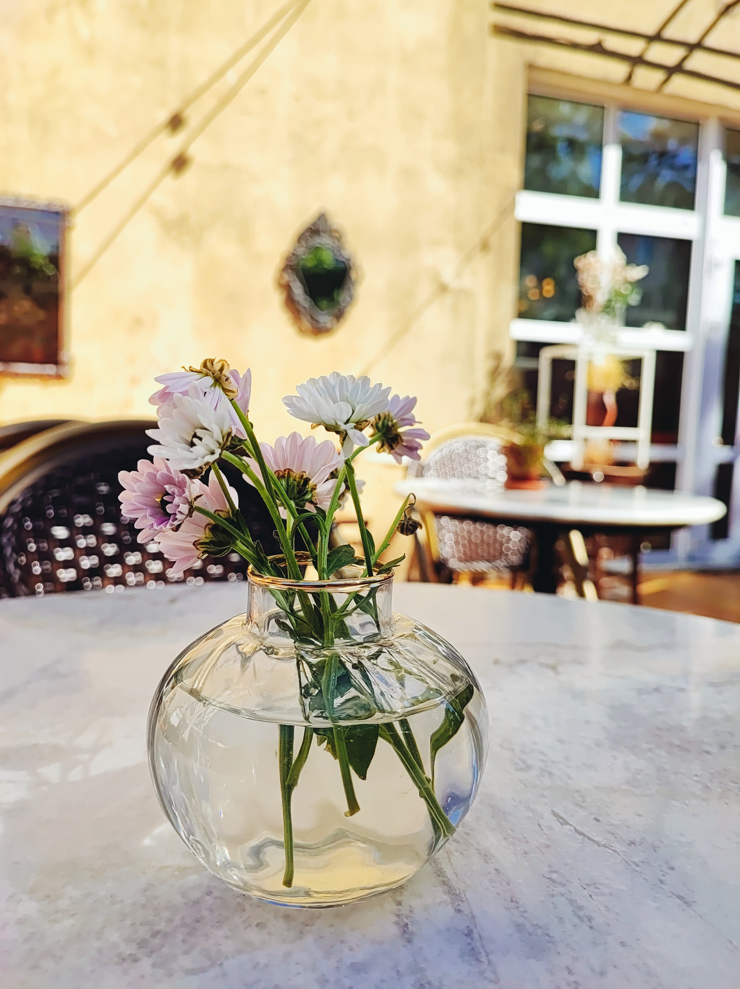 Намобилкус питерский. Репортажный фотограф Алексей Пирязев