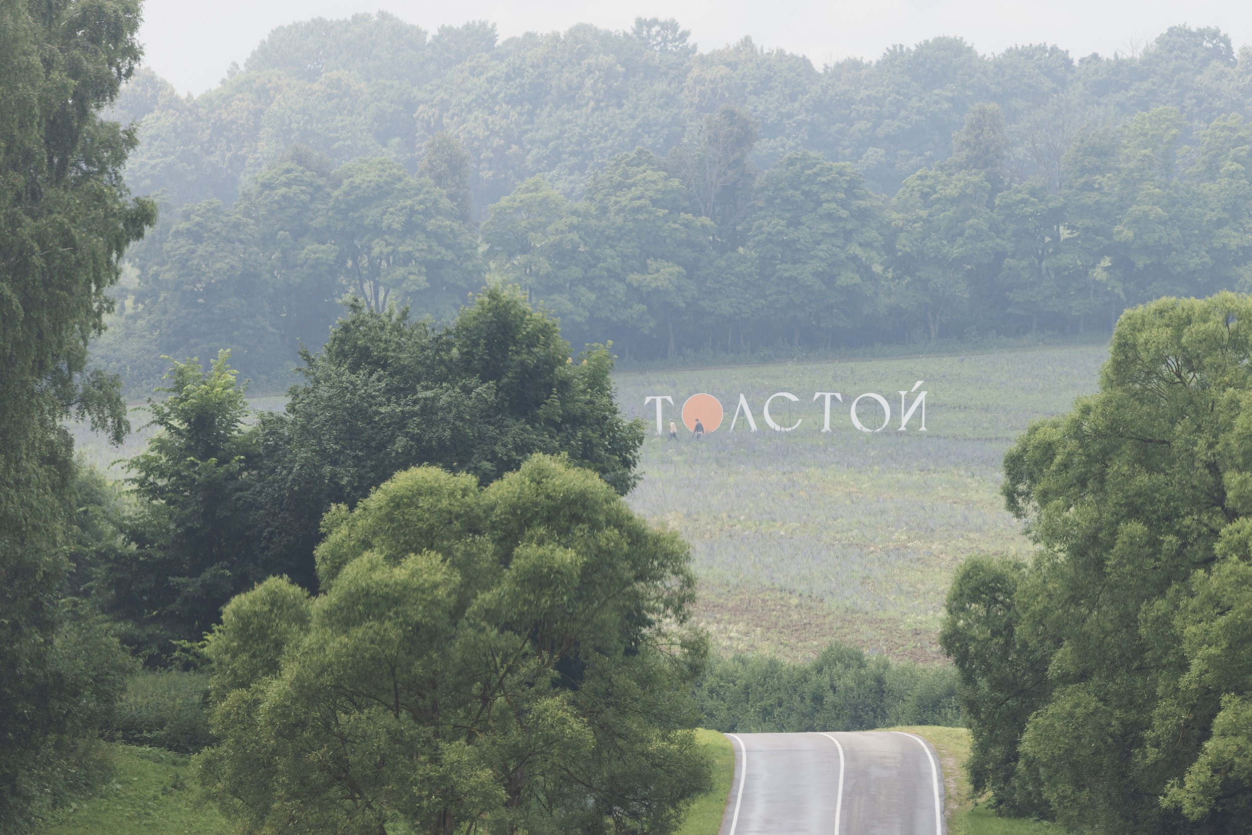 Театральный фестиваль «Толстой» (3-5 июля 2026). Репортажный фотограф Алексей Пирязев