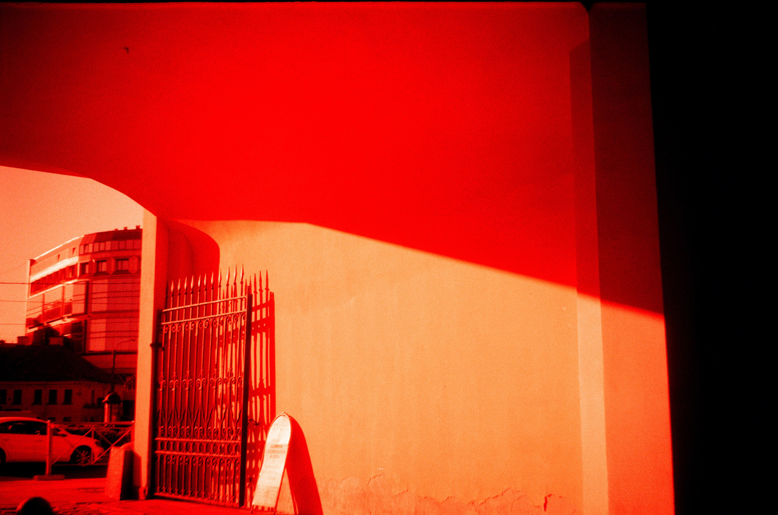 Redscale. Варвара Цымбал