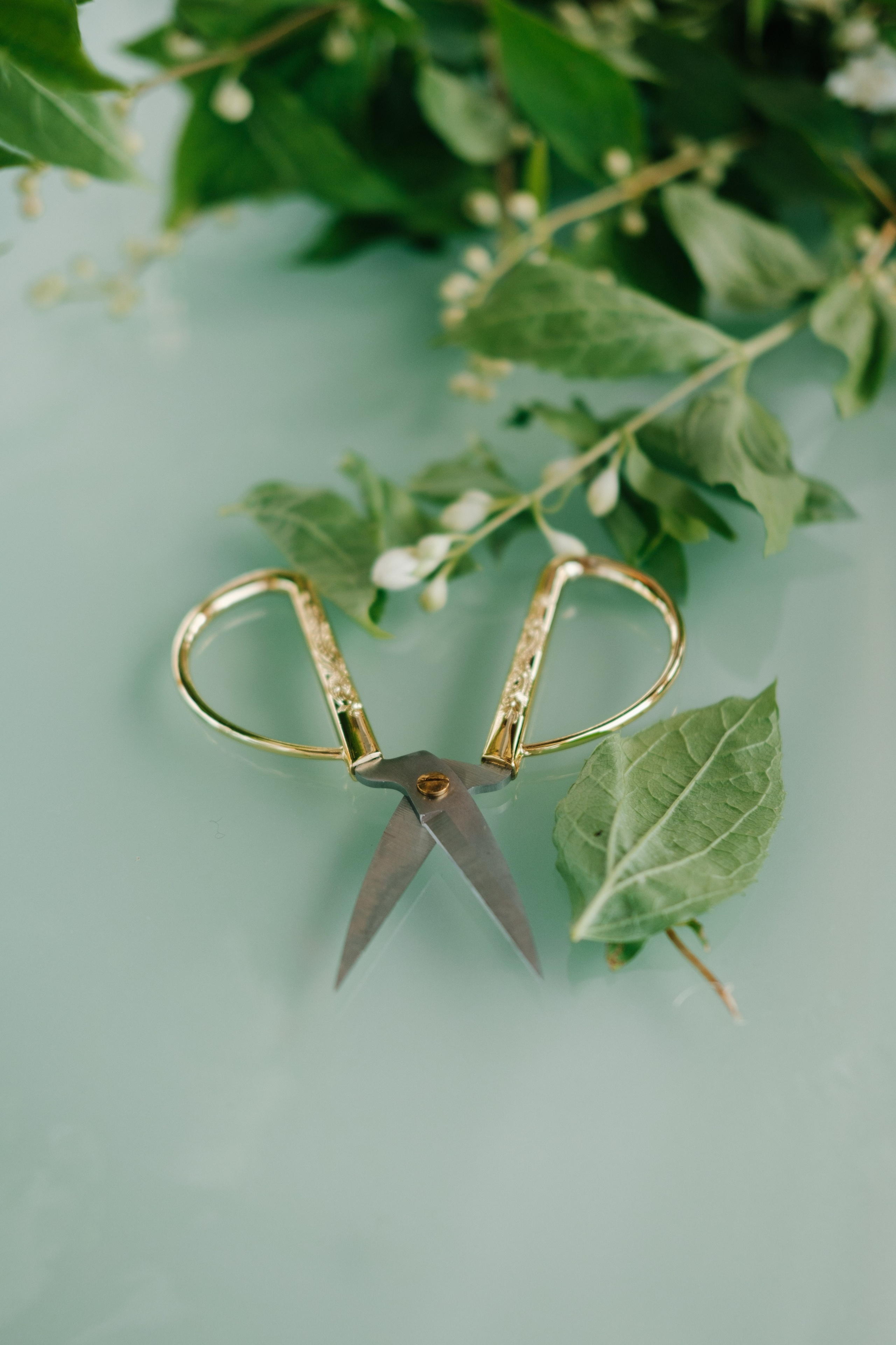 Морской. Свадебный Видеограф Фотограф в Сочи