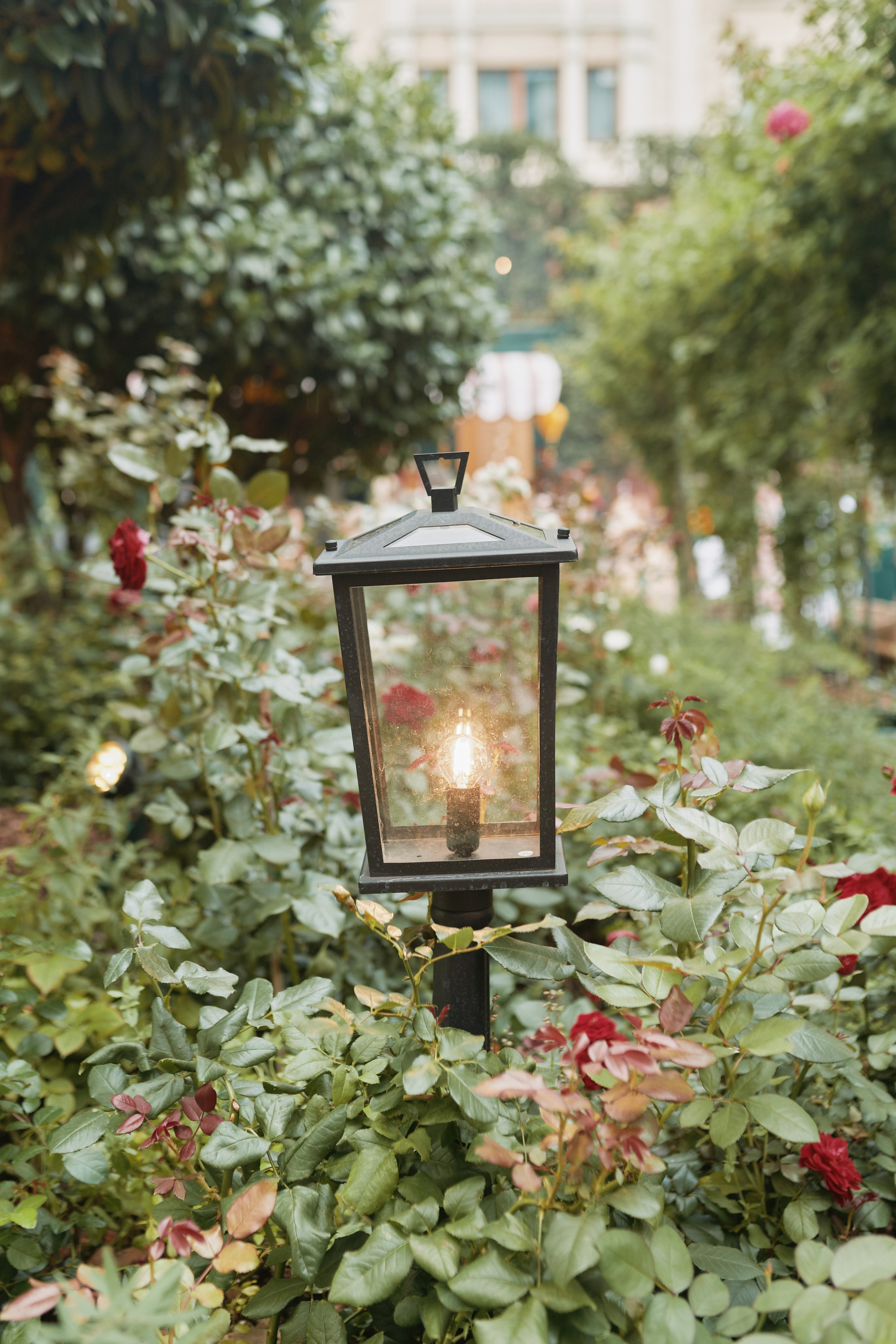 Фестиваль культуры Вьетнама. Москва 2025. Евгений Бреча. Коммерческий и бэкстейдж фотограф в Москве