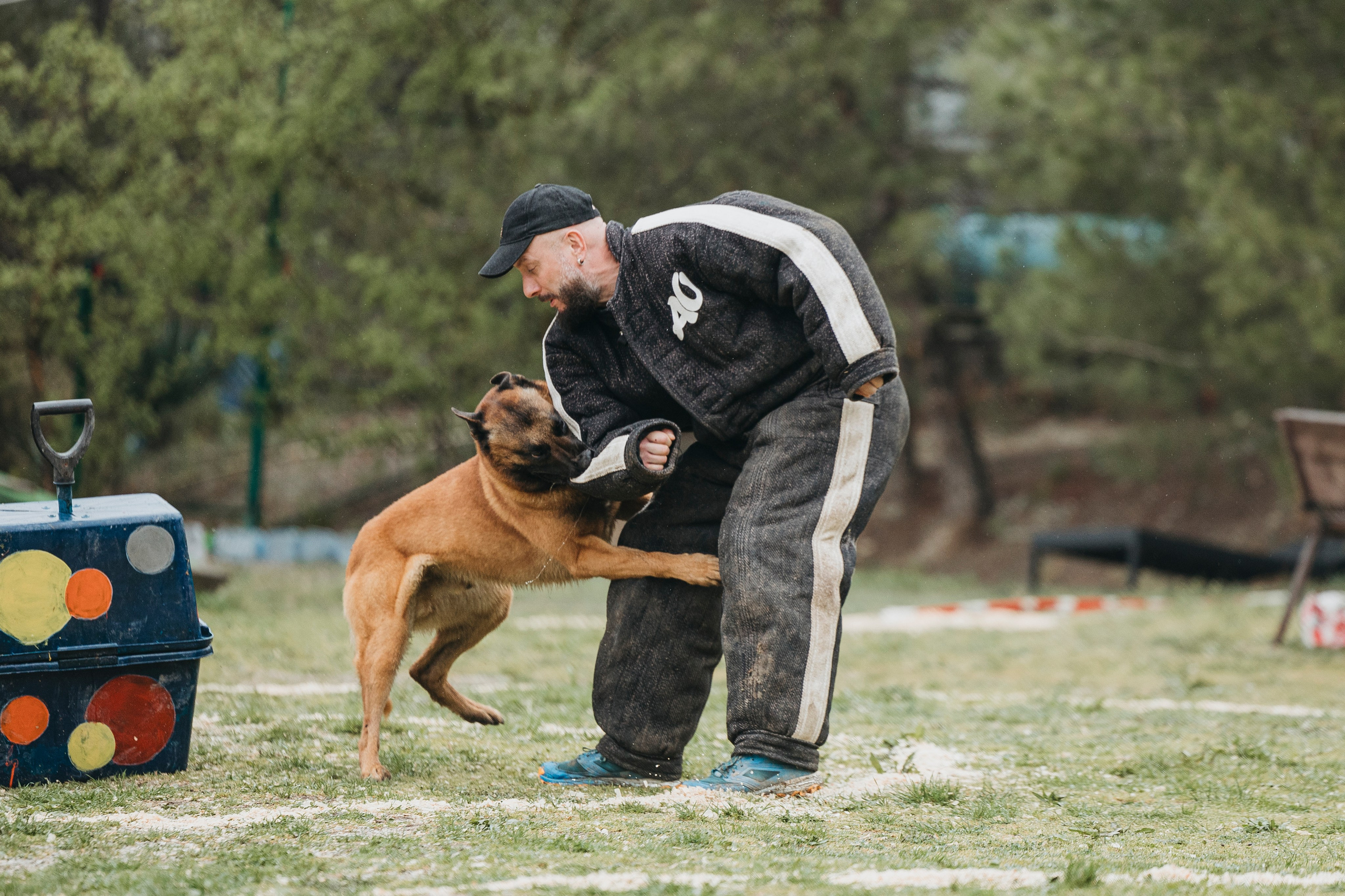 Геленджик Мондьоринг. Фотограф-анималист Анна Маринич