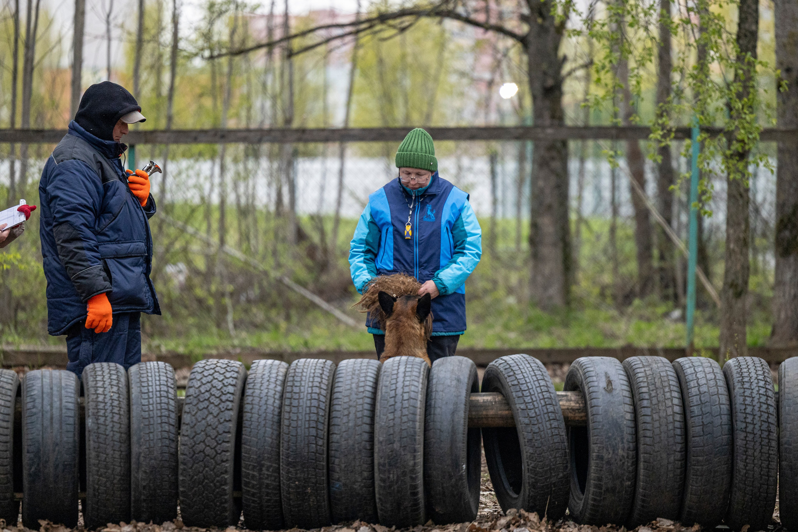 Квалификационные состязания по мондьорингу г. Вологда 11.05.24. Фотограф-анималист Анна Маринич