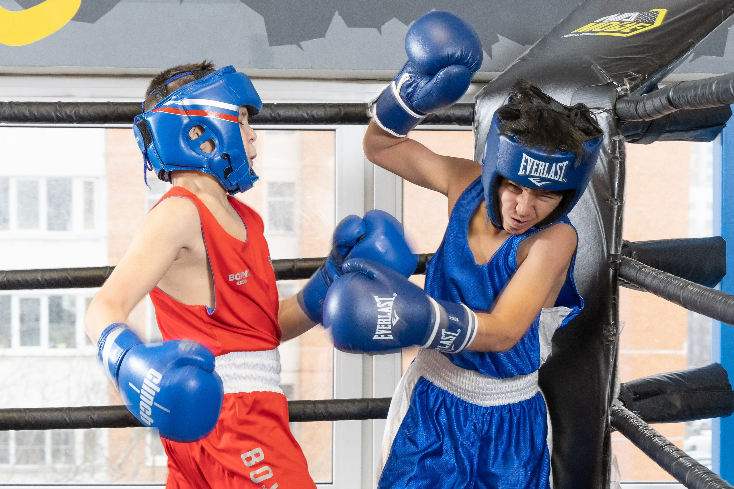 Бокс. Photomantis