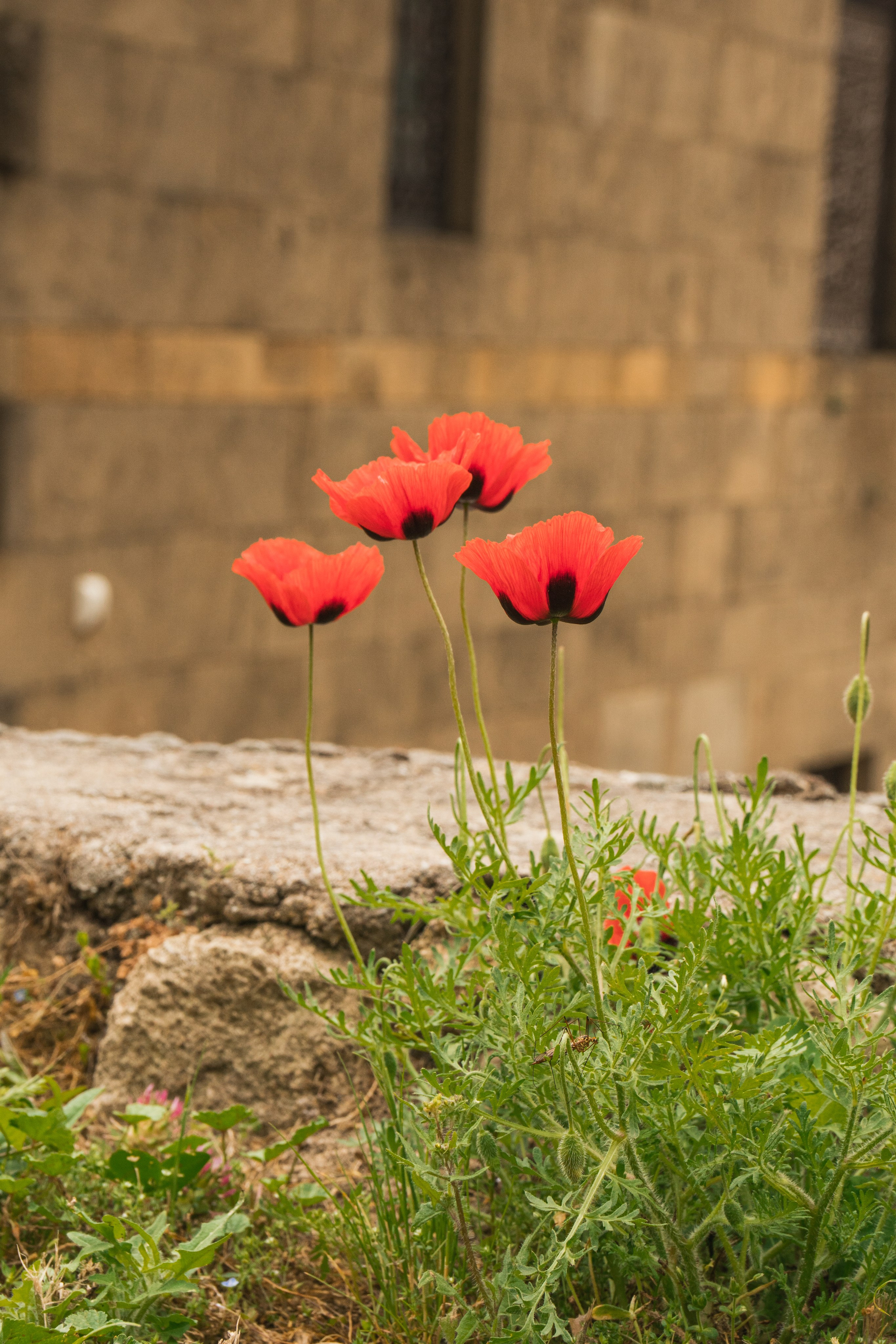 Дагестан. Gusarov Travel Photography