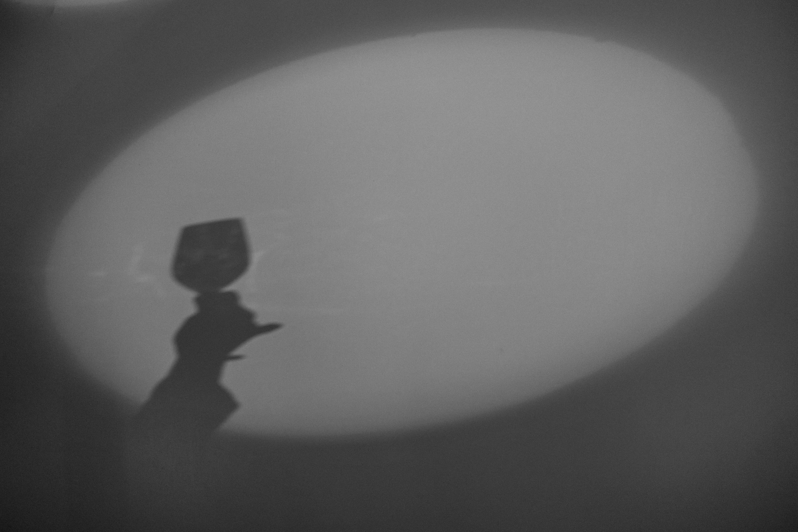 The Sun Александр & Любовь. Свадебный фотограф в Москве