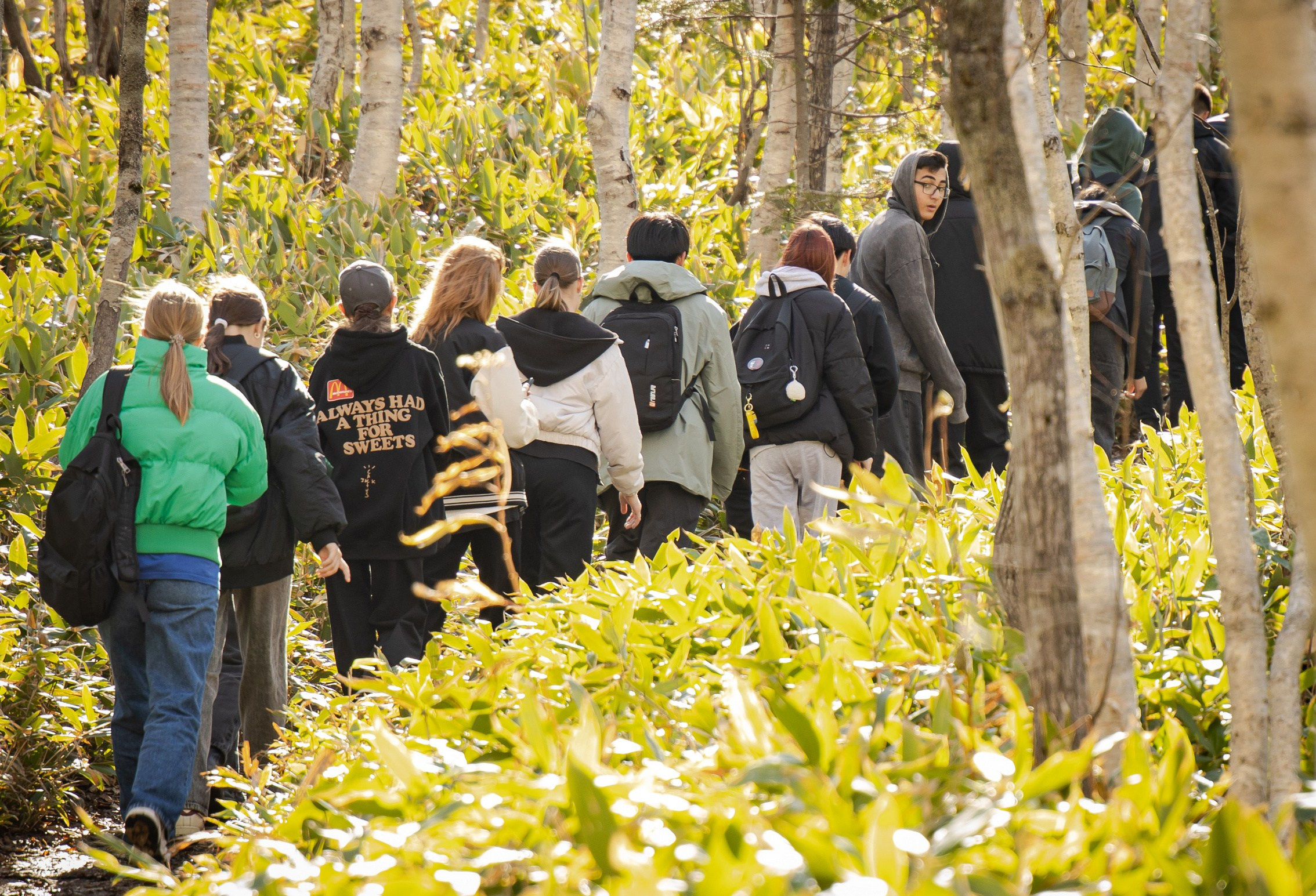 Школьная. Фотограф. г. Южно-Сахалинск. Олег Толстов