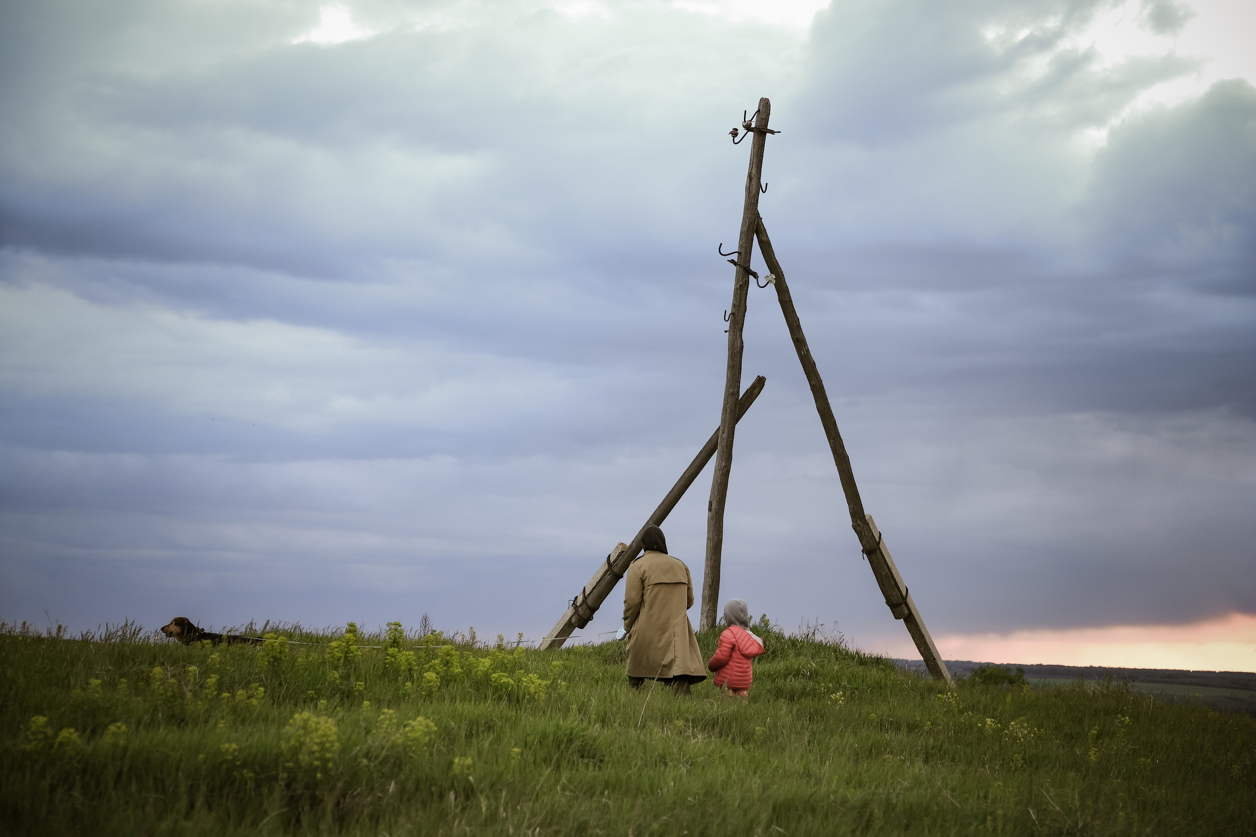 Дон. Фотограф Алексей Шуля — портфолио