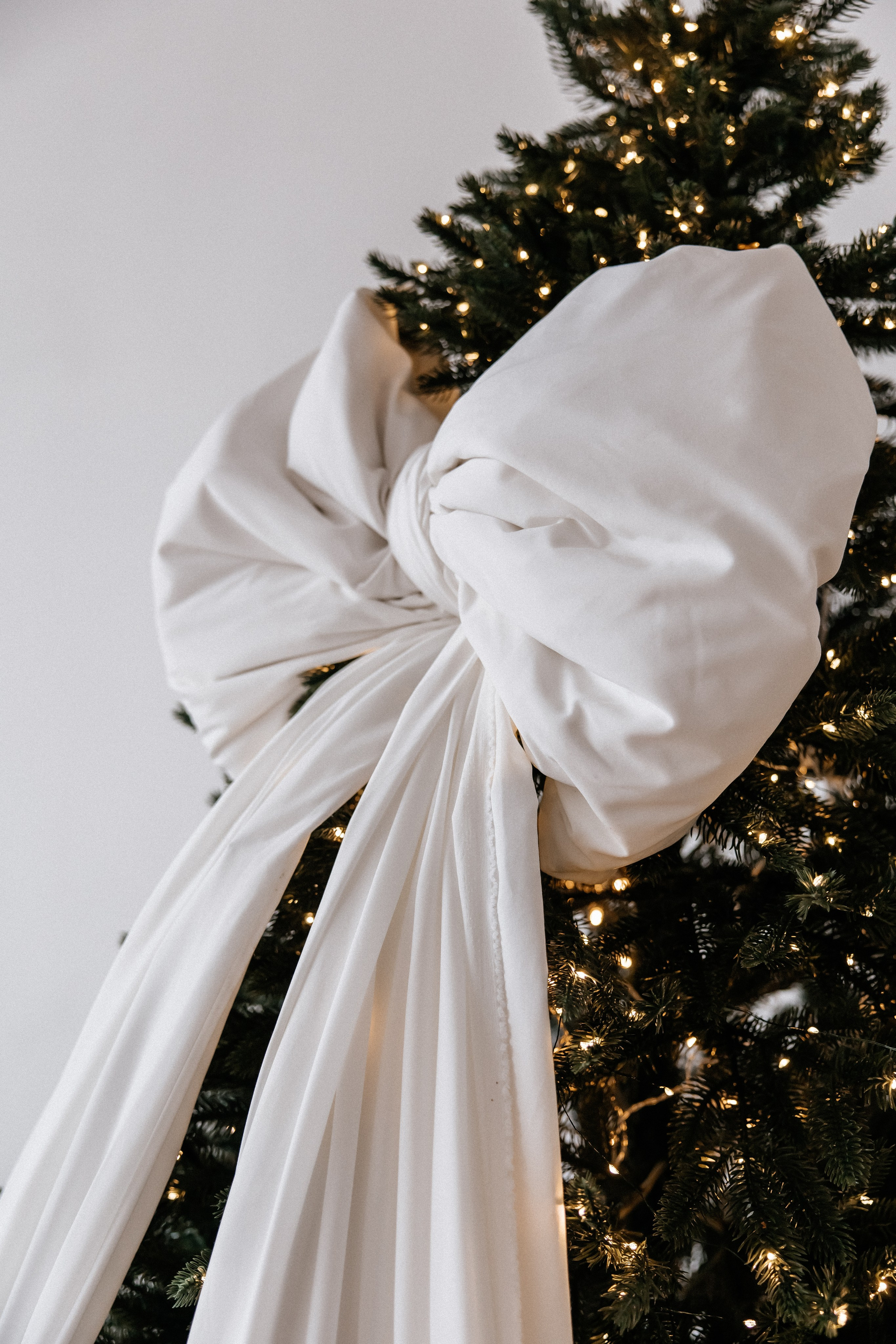 Алена. Светлана Ванцлав — фотограф Минск, Беларусь