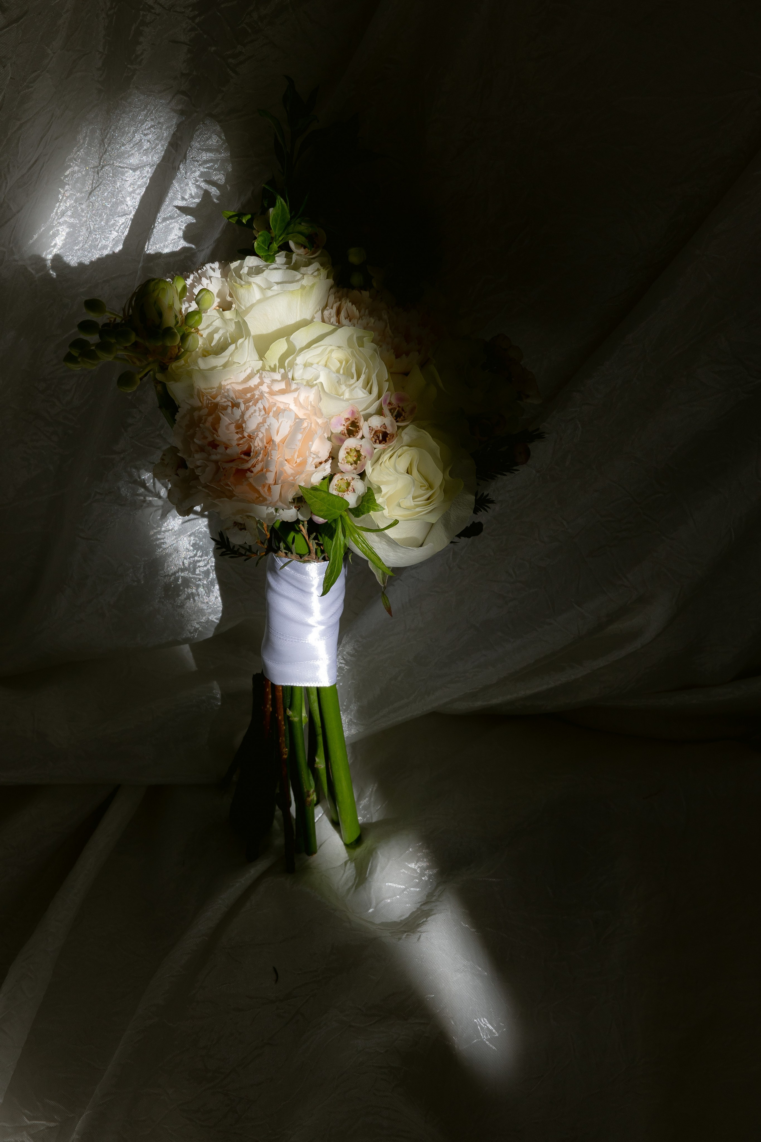 Егор & Дарья