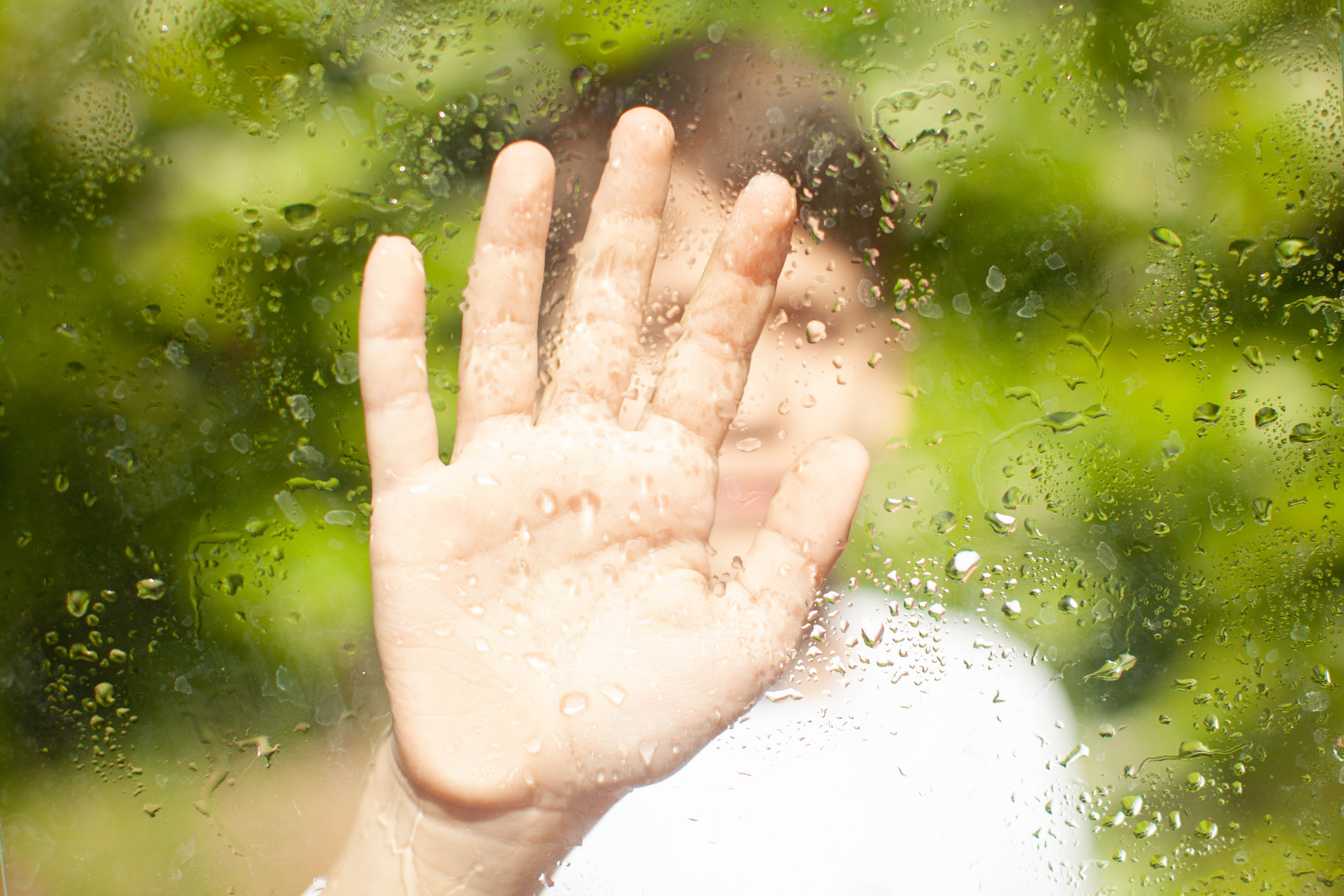 Летний день. Art my Pho