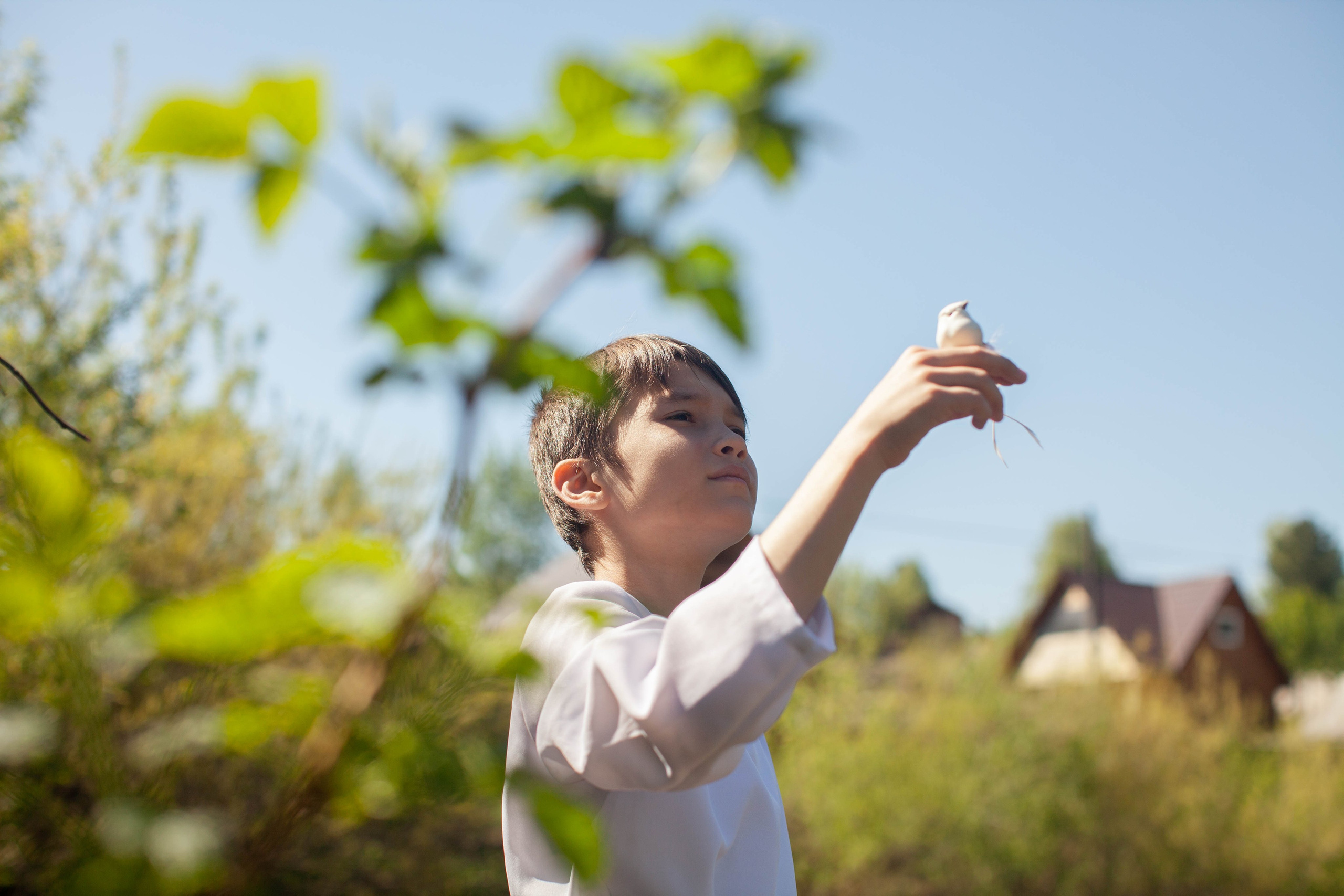 Летний день. Art my Pho