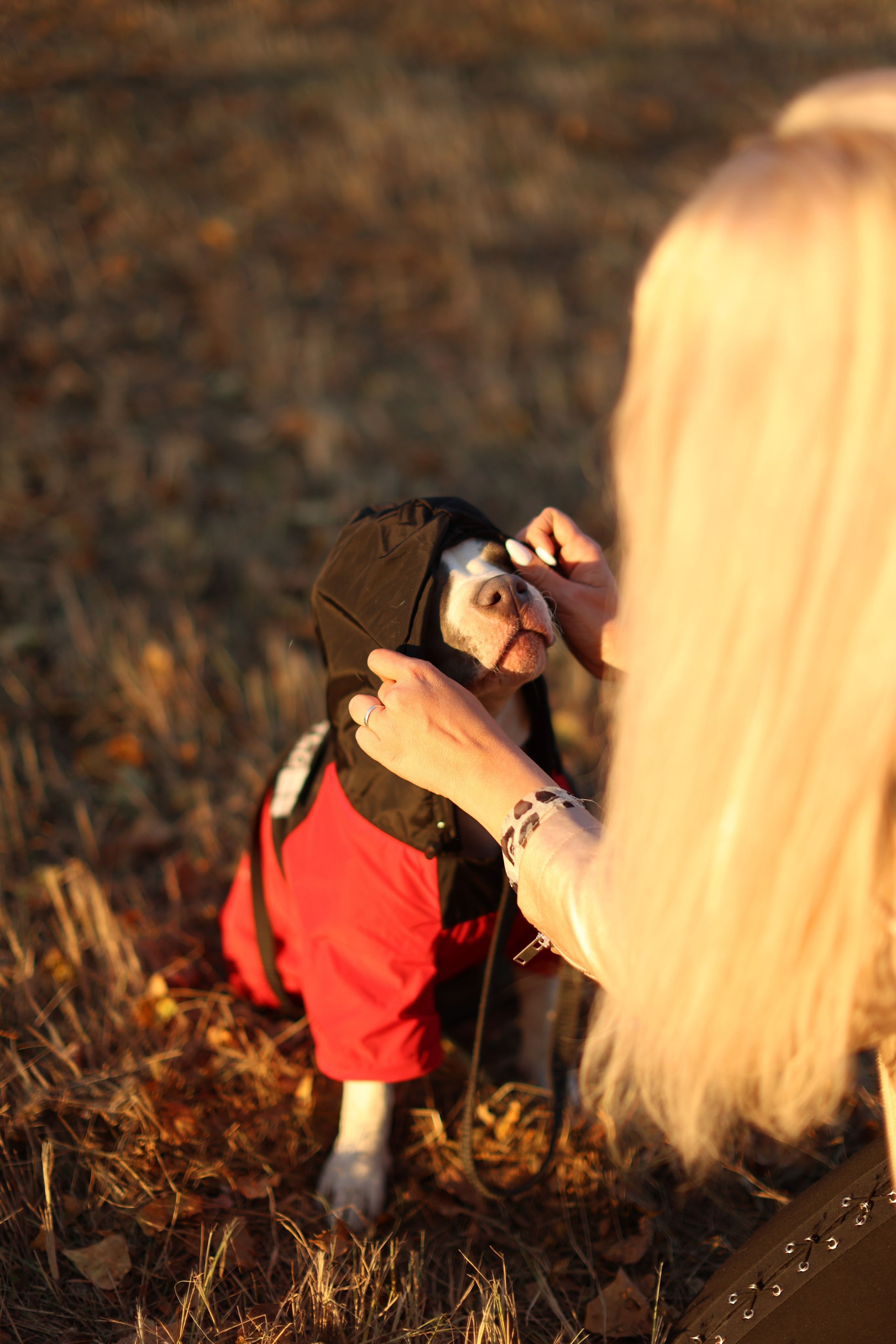 Осень. Art my Pho